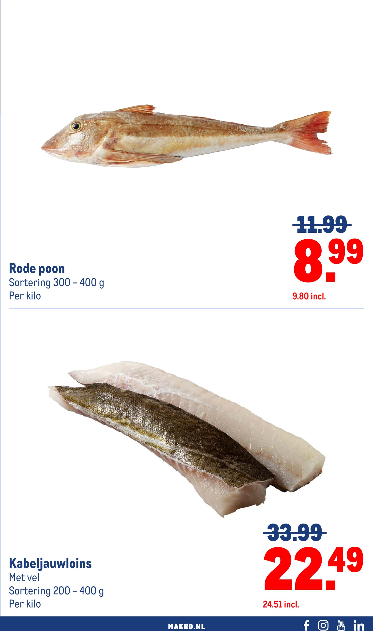makro - Makro - Food folder geldig vanaf 04-06 t/m 17-06 - page: 11 makro - Makro - Food folder geldig vanaf 04-06 t/m 17-06 - page: 11