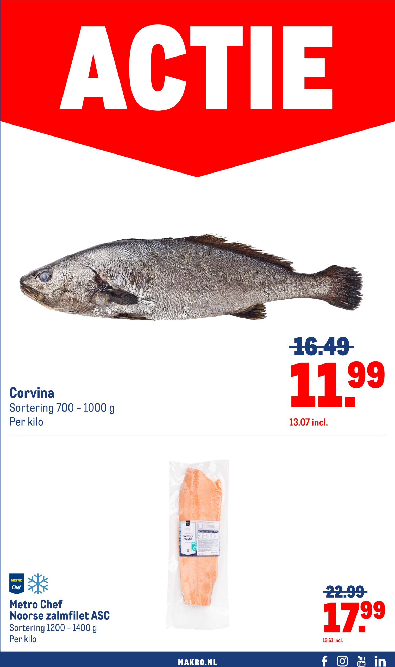 makro - Makro - Versdeals folder geldig vanaf 03-06 t/m 09-06 - page: 5