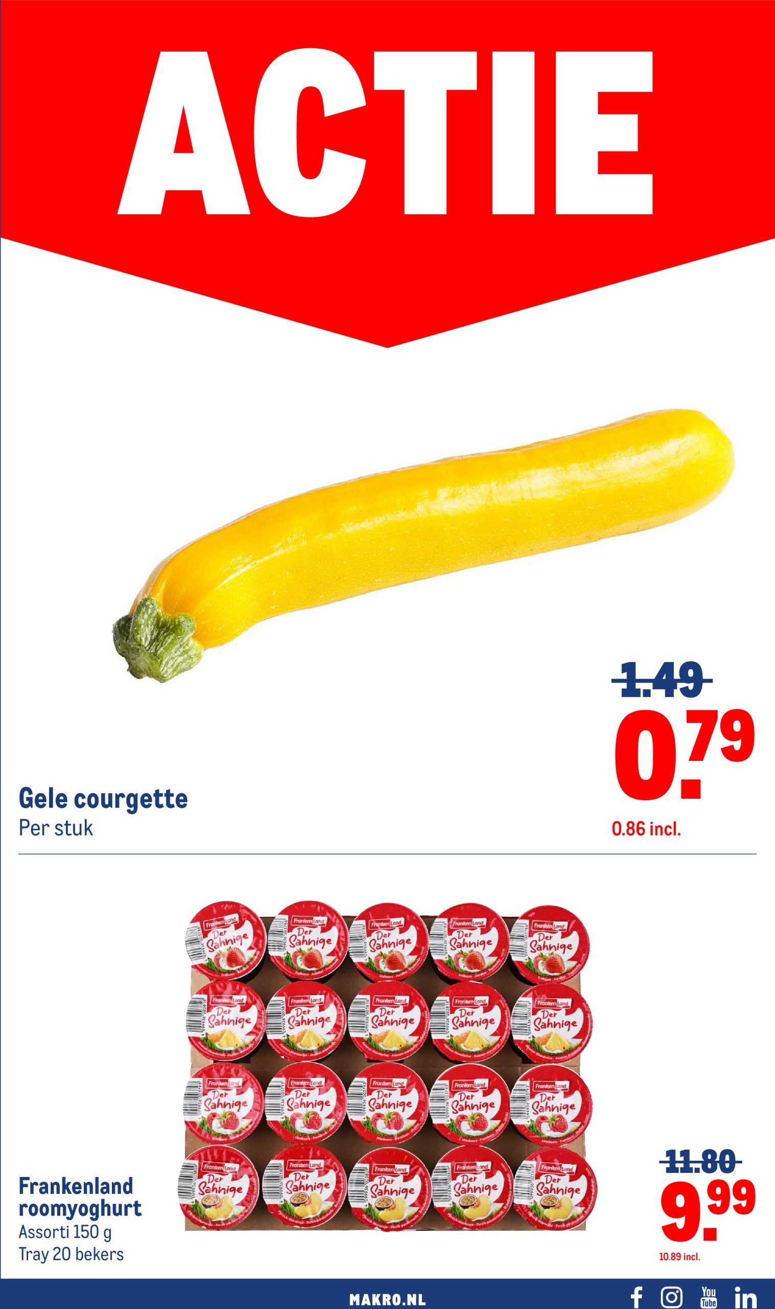 makro - Makro - Versdeals folder geldig vanaf 10-06 t/m 16-06 - page: 5