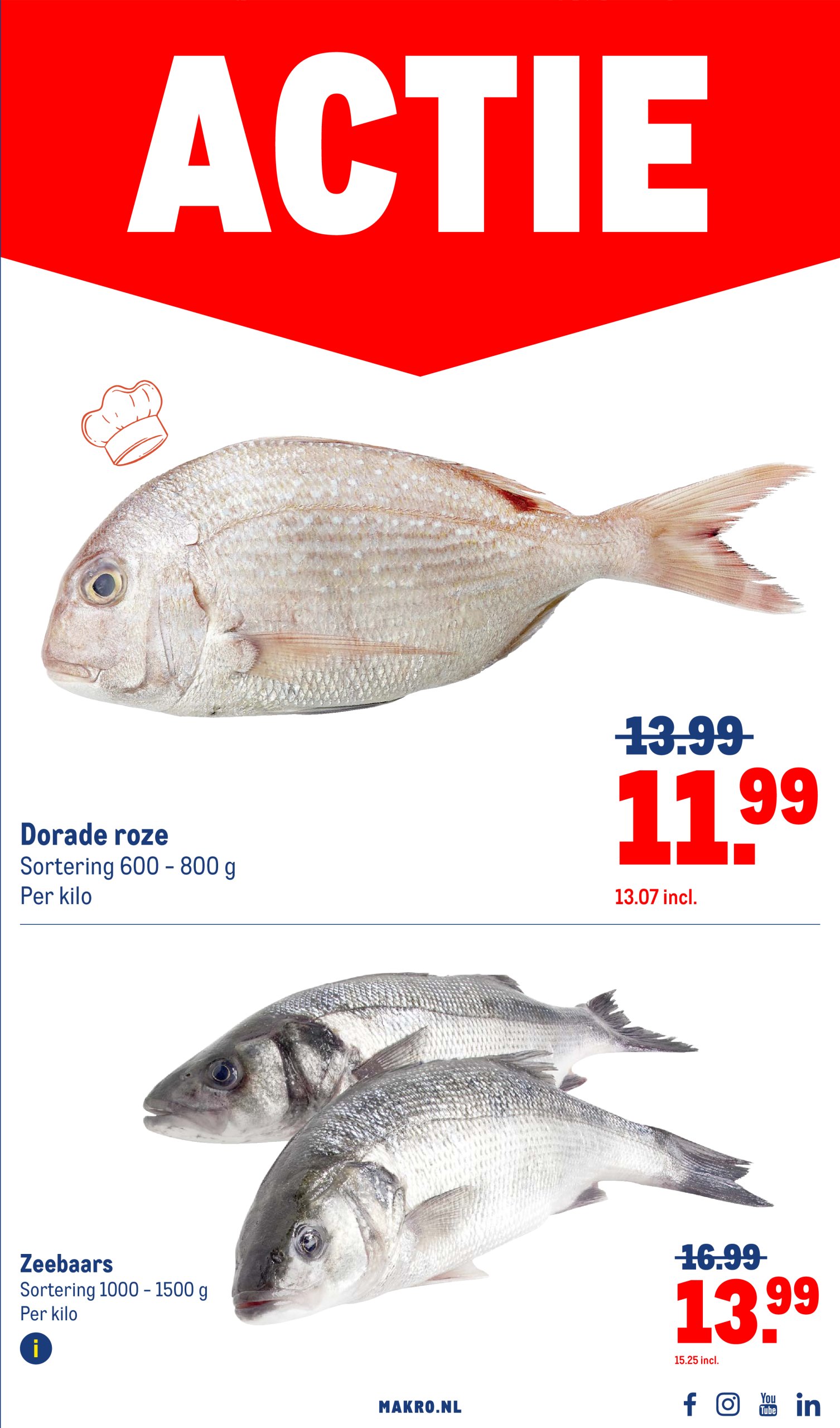 makro - Makro - BBQ folder geldig vanaf 02-07 t/m 29-07 - page: 13 makro - Makro - BBQ folder geldig vanaf 02-07 t/m 29-07 - page: 13