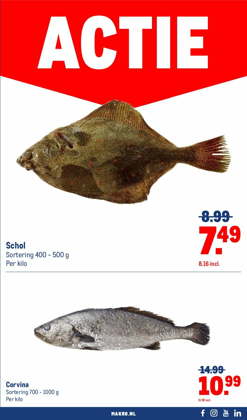 makro - Makro - Food folder geldig vanaf 13-08 t/m 26-08 - page: 9