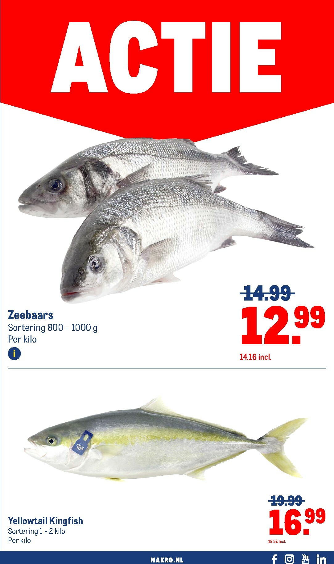 makro - Makro - Food folder geldig vanaf 08-10 t/m 21-10 - page: 21