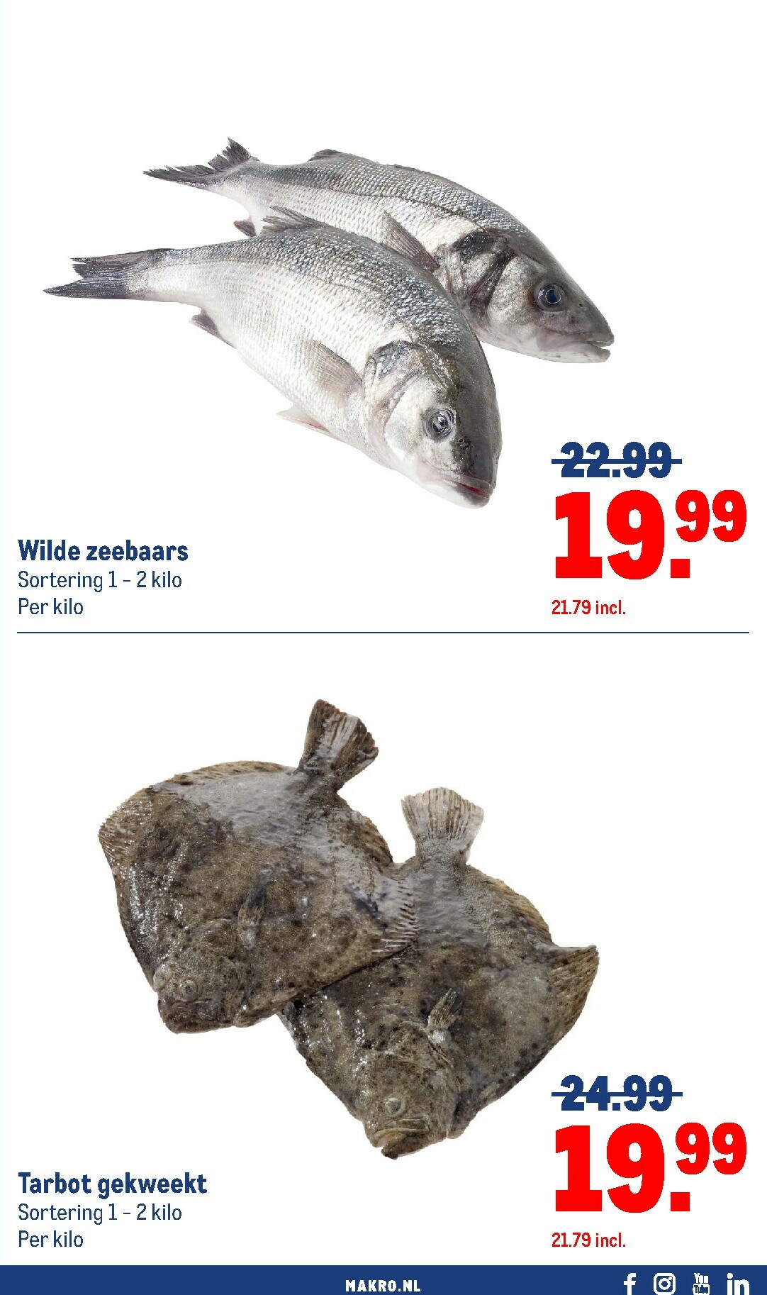 makro - De Makro - Versdeals folder geldig vanaf 18-11 t/m 24-11 - page: 3