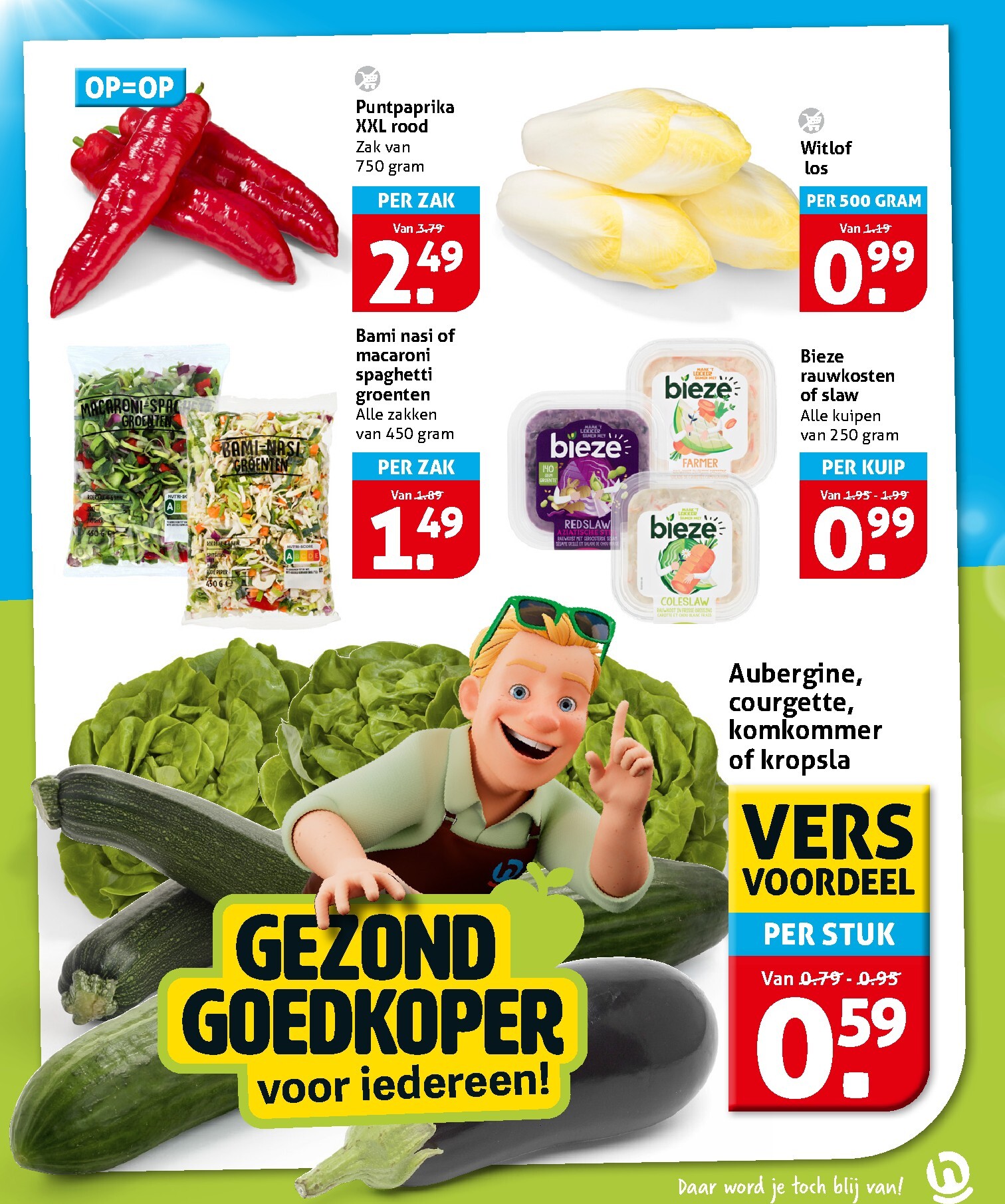 hoogvliet - Hoogvliet folder voor volgende week van woensdag 19-08-2026 tot dinsdag 25-08-2026 - page: 17