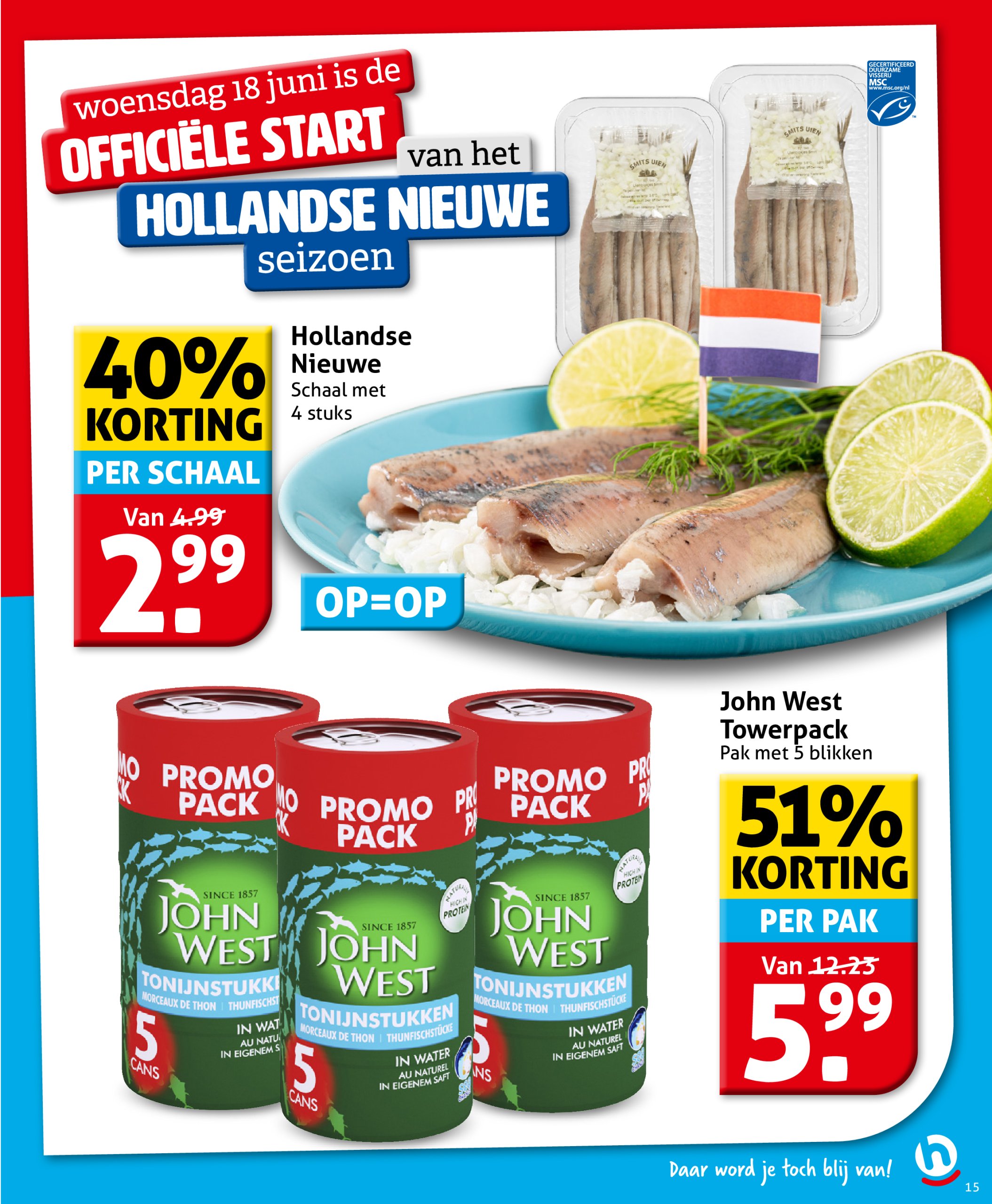 hoogvliet - Hoogvliet folder geldig vanaf 18-06 t/m 24-06 - page: 15