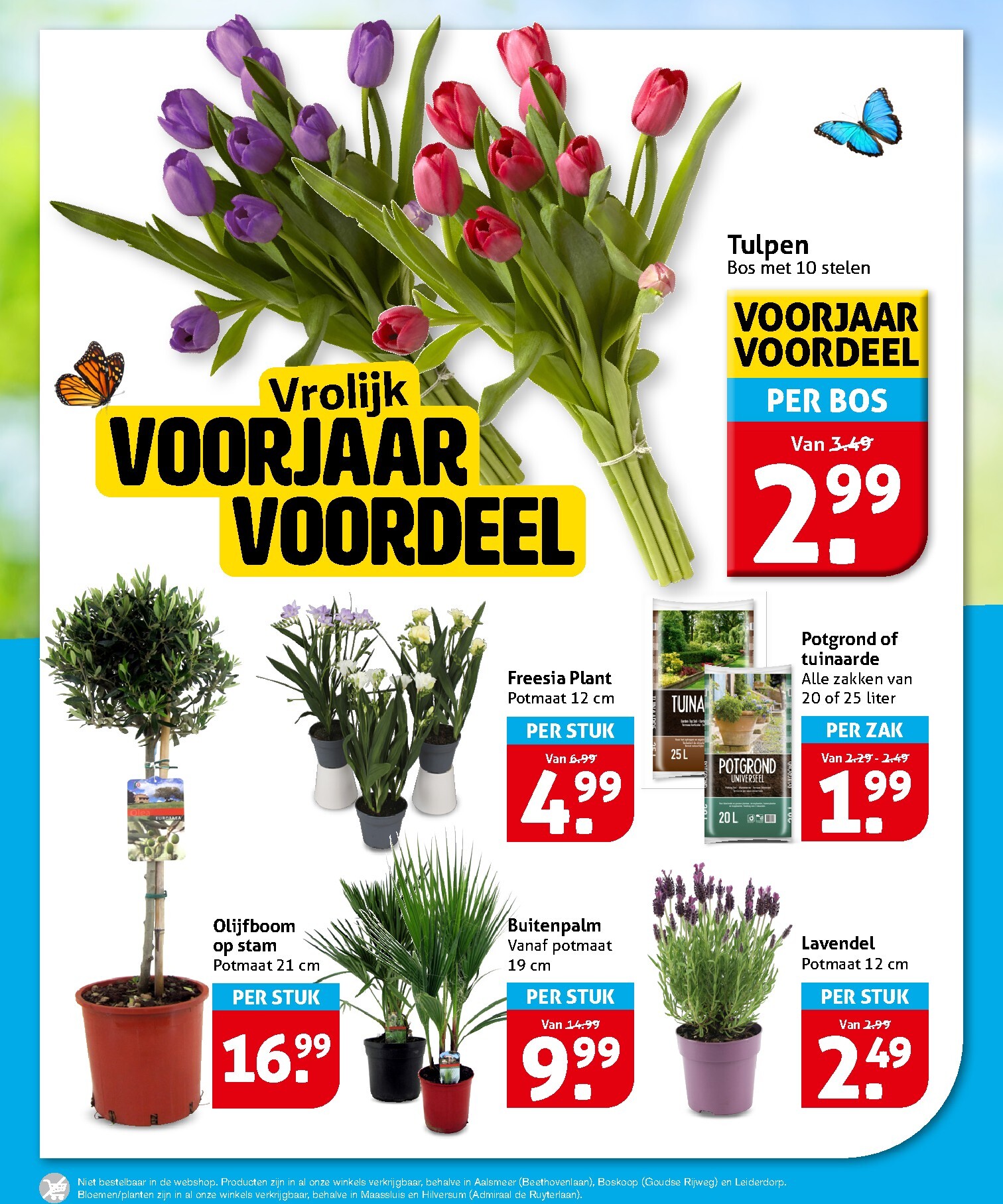 hoogvliet - De Hoogvliet folder geldig vanaf 08-04-2026 t/m 14-04-2026 - page: 22