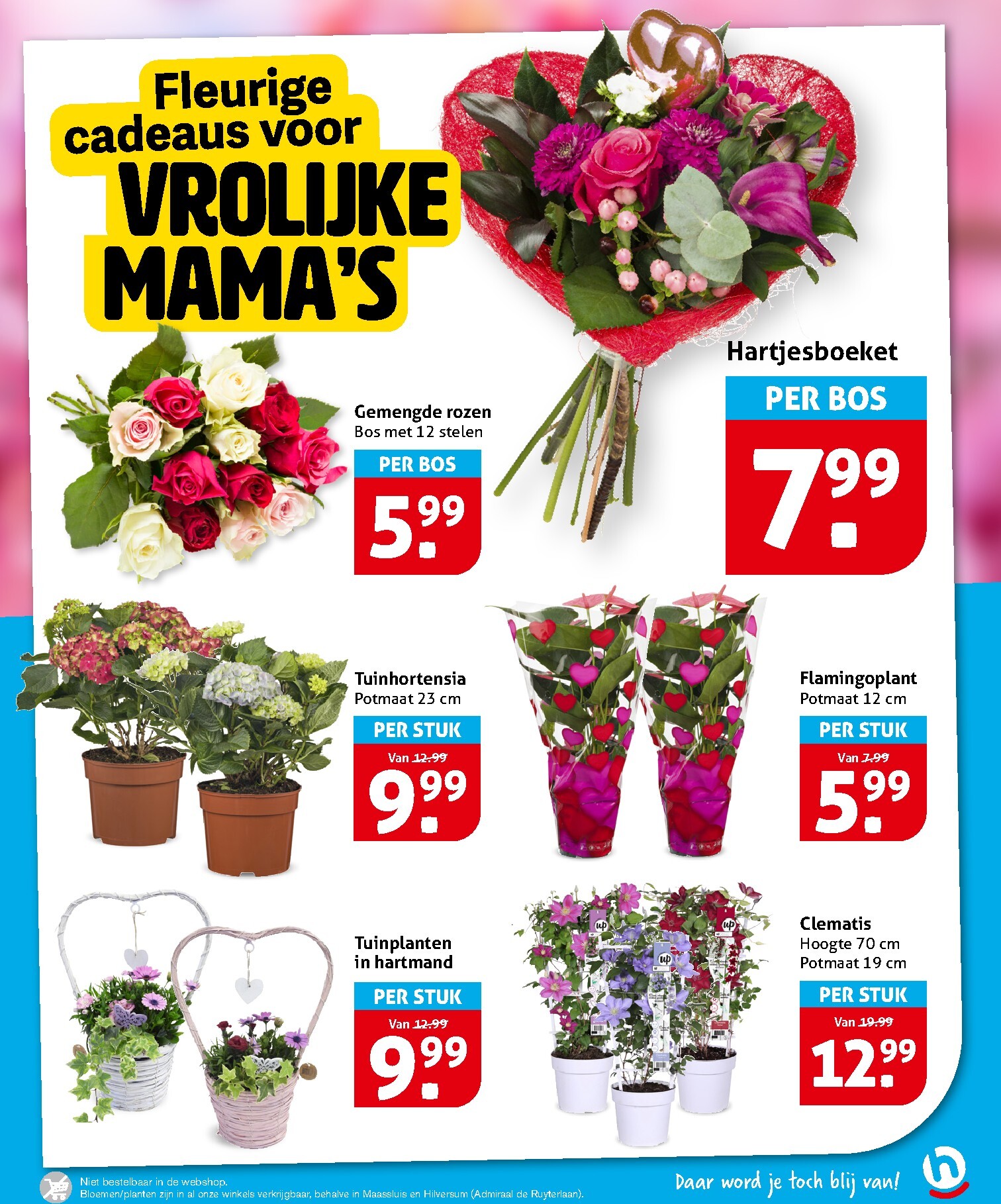 hoogvliet - Hoogvliet folder voor volgende week van woensdag 06-05-2026 tot dinsdag 12-05-2026 - page: 19