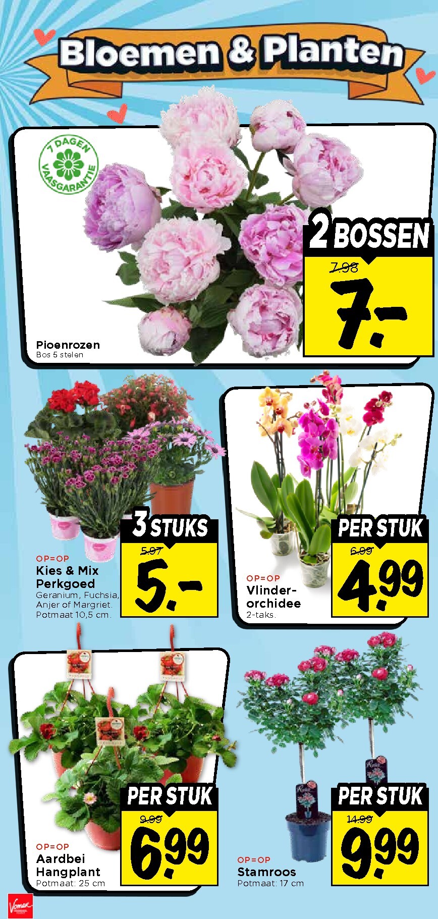vomar - Vomar folder voor volgende week van zondag 31-05-2026 tot zaterdag 06-06-2026 - page: 33