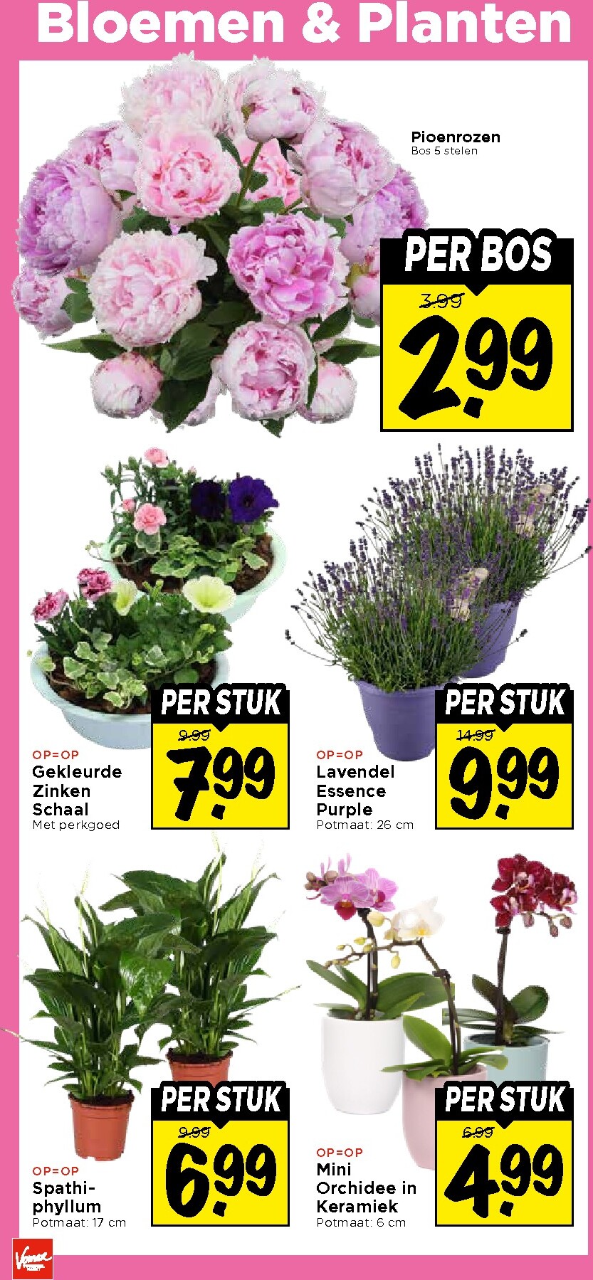 vomar - Vomar folder voor volgende week van zondag 07-06-2026 tot zaterdag 13-06-2026 - page: 37
