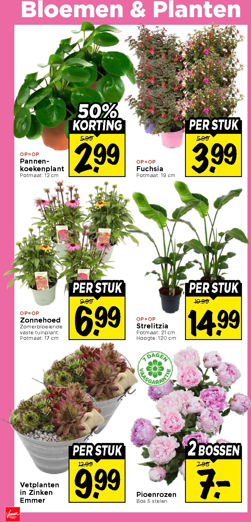 vomar - Vomar folder voor volgende week van zondag 14-06-2026 tot zaterdag 20-06-2026 - page: 32
