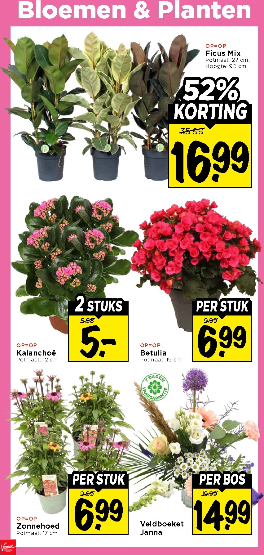 vomar - Huidige Vomar - Weekendfolder folder geldig van donderdag 13-08-2026 tot zaterdag 15-08-2026 - page: 31