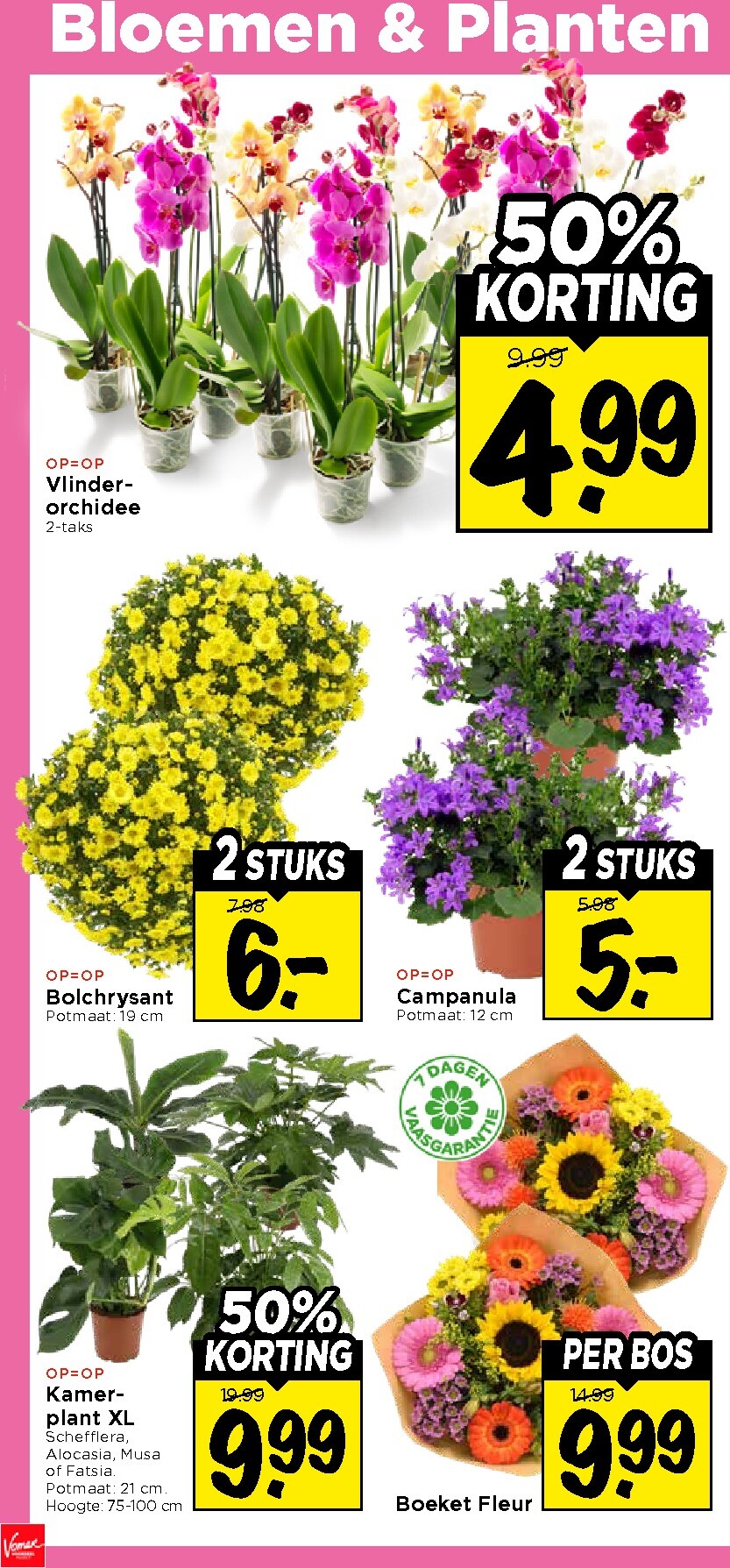 vomar - Vomar folder voor volgende week van zondag 16-08-2026 tot zaterdag 22-08-2026 - page: 32