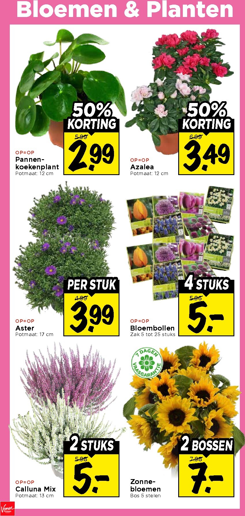 vomar - Vomar folder voor volgende week van zondag 13-09-2026 tot zaterdag 19-09-2026 - page: 34