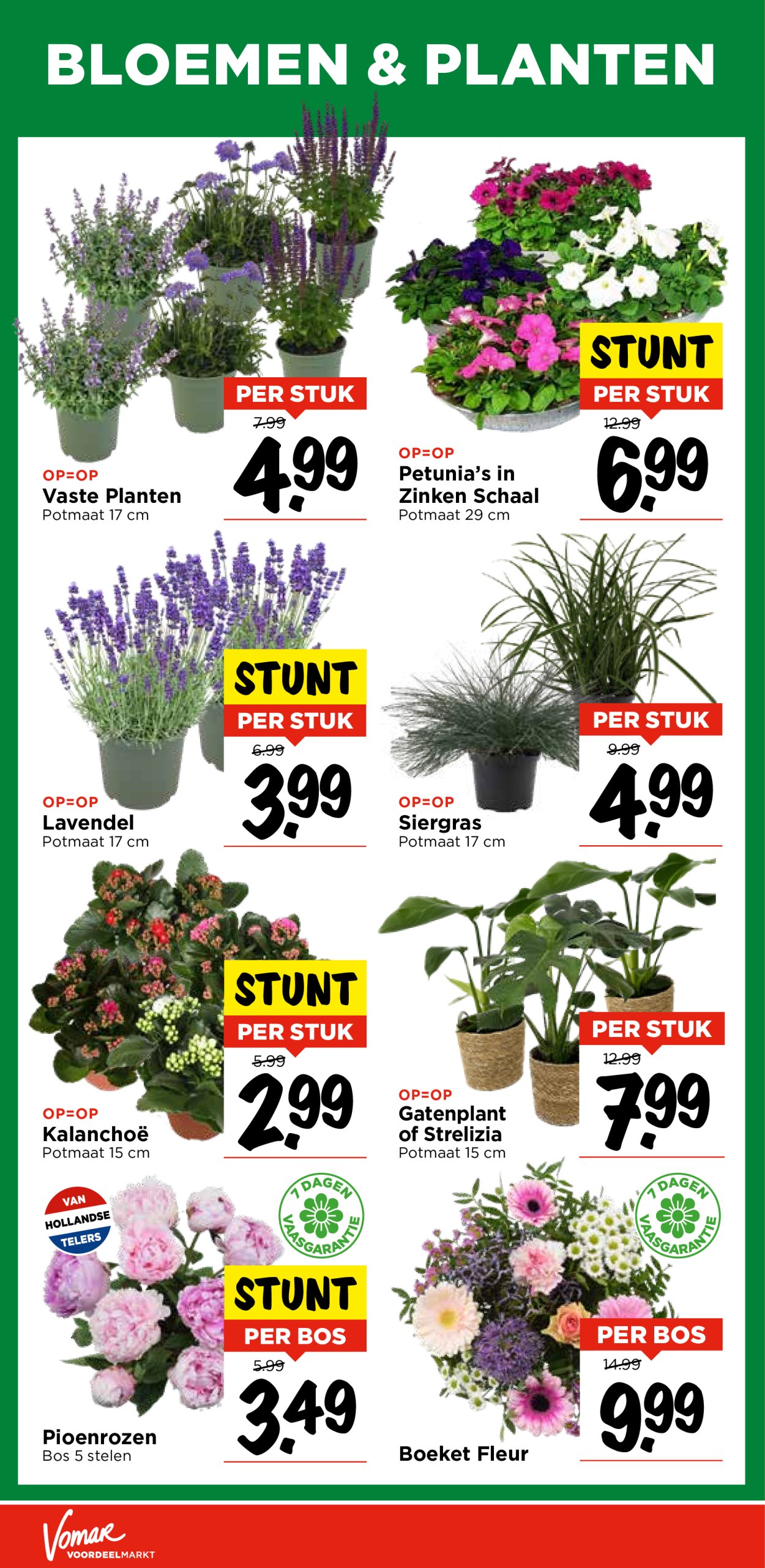 vomar - Vomar folder geldig vanaf 05-06 t/m 07-06 - page: 36