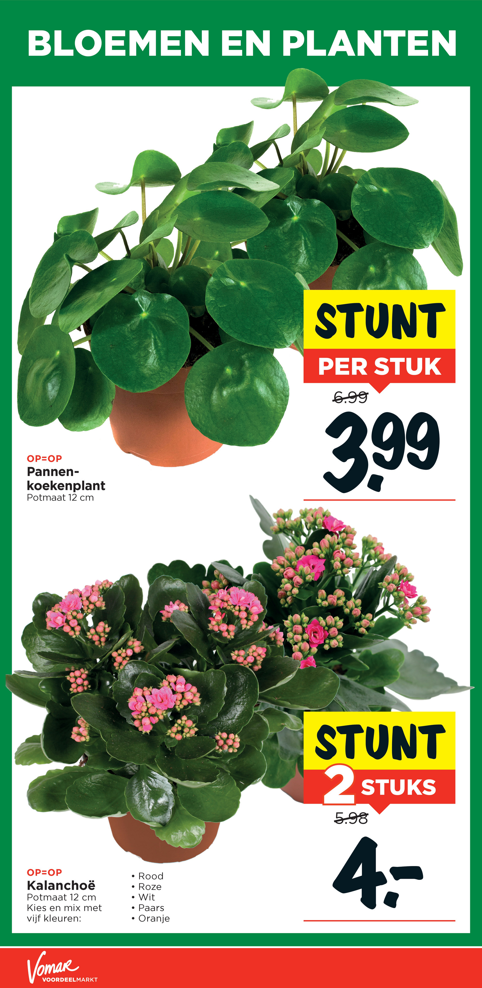 vomar - De Vomar folder geldig vanaf 02-11 t/m 08-11 - page: 31