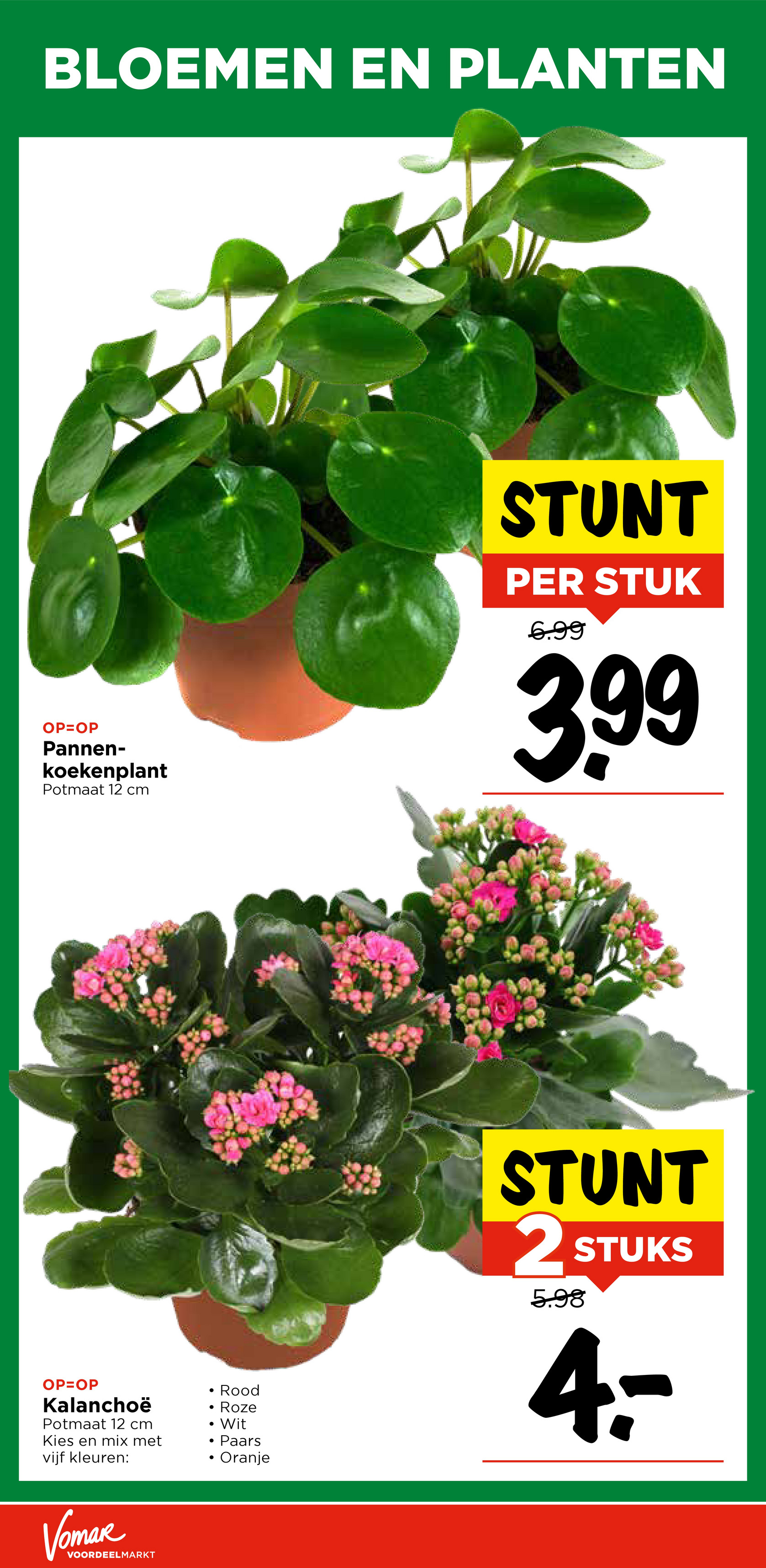 vomar - De Vomar folder geldig vanaf 07-11 t/m 08-11 - page: 36