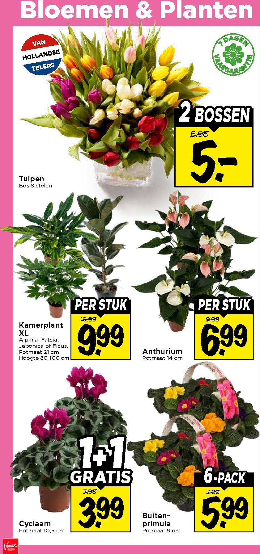 vomar - De Vomar folder geldig vanaf 11-01 t/m 17-01 - page: 32