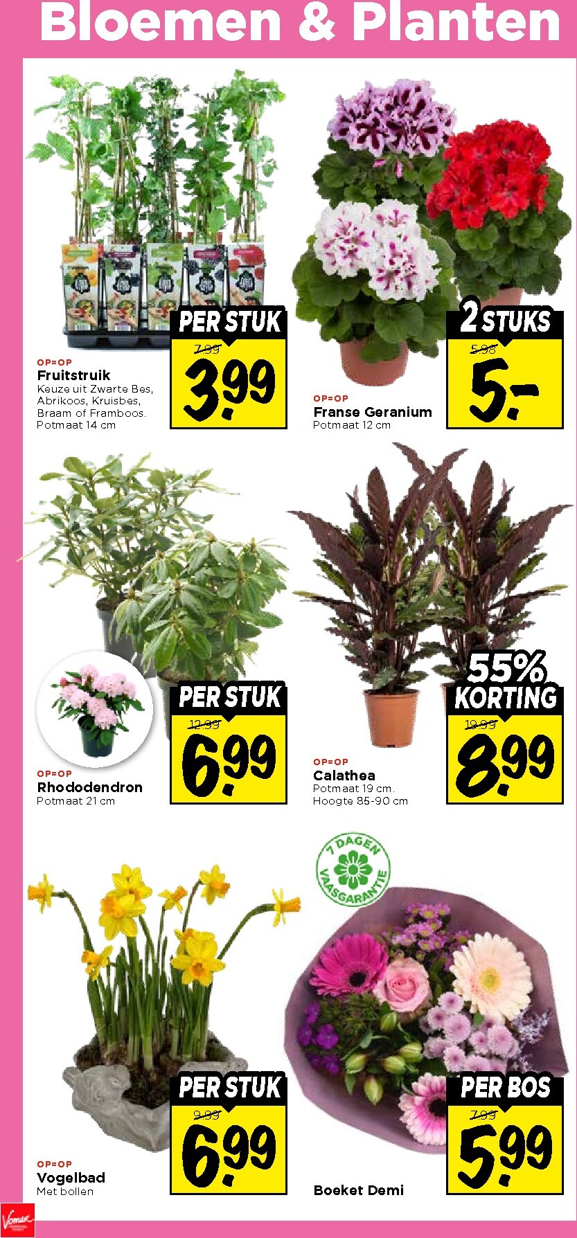 vomar - De Vomar folder geldig vanaf 01-03-2026 t/m 07-03-2026 - page: 32