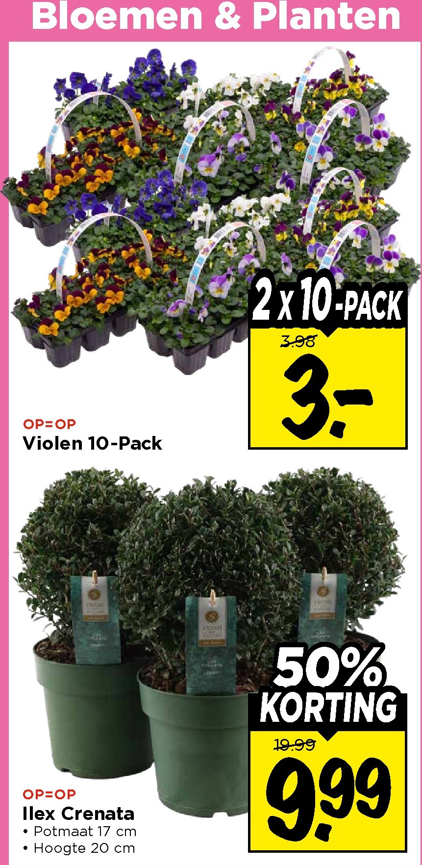 vomar - De Vomar folder geldig vanaf 15-03-2026 t/m 21-03-2026 - page: 31