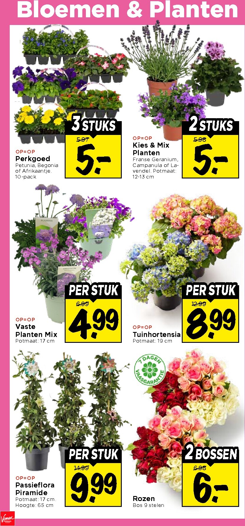 vomar - Vomar folder voor volgende week van zondag 26-04-2026 tot zaterdag 02-05-2026 - page: 33