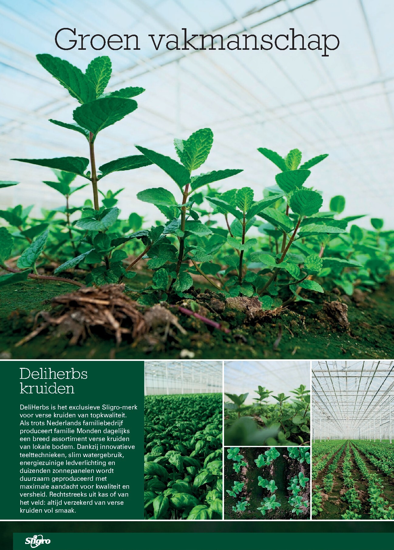 sligro - Huidige Sligro - Food folder geldig van donderdag 11-06-2026 tot maandag 29-06-2026 - page: 10