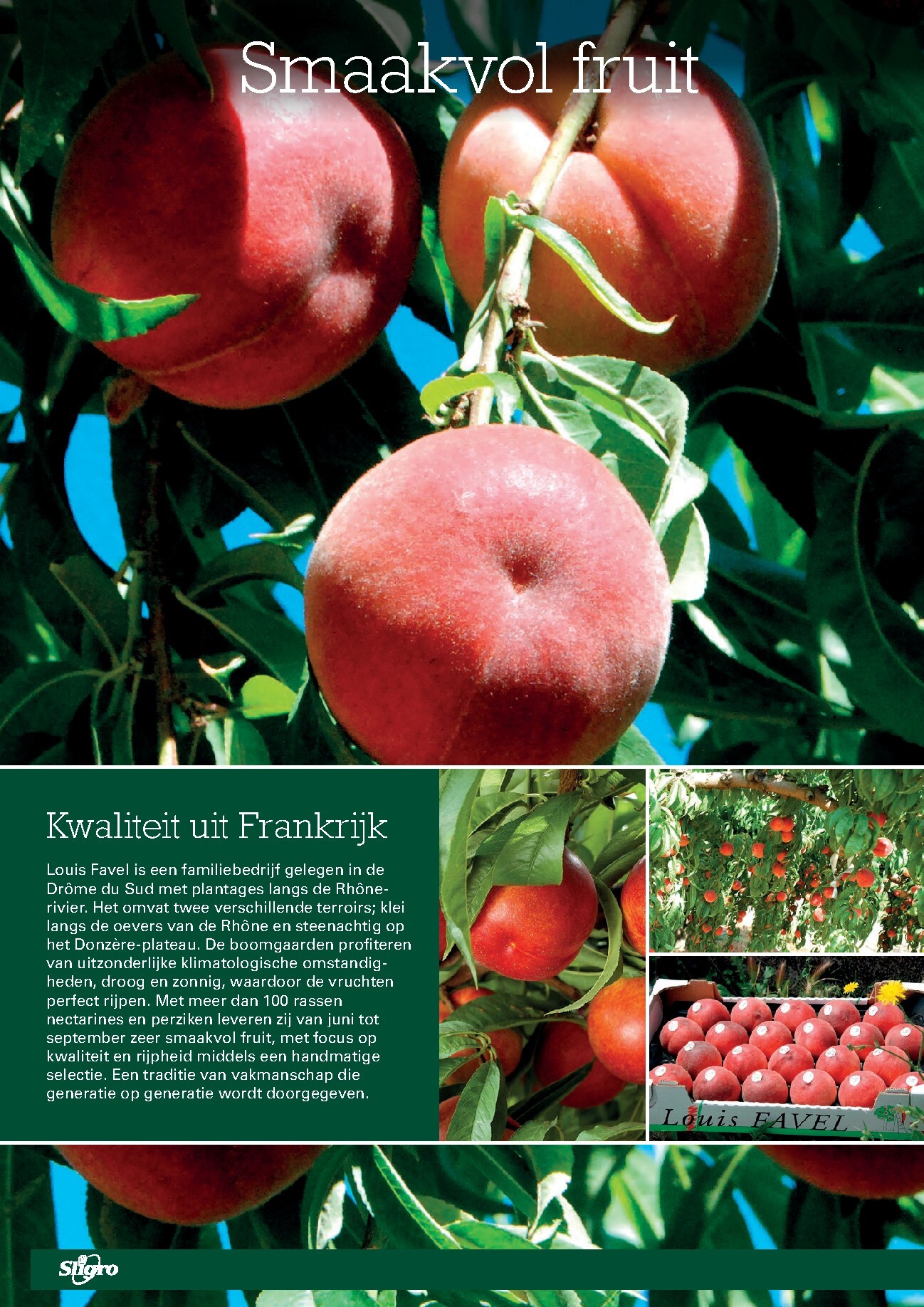 sligro - Huidige Sligro - Non-Food folder geldig van donderdag 02-07-2026 tot maandag 20-07-2026 - page: 44