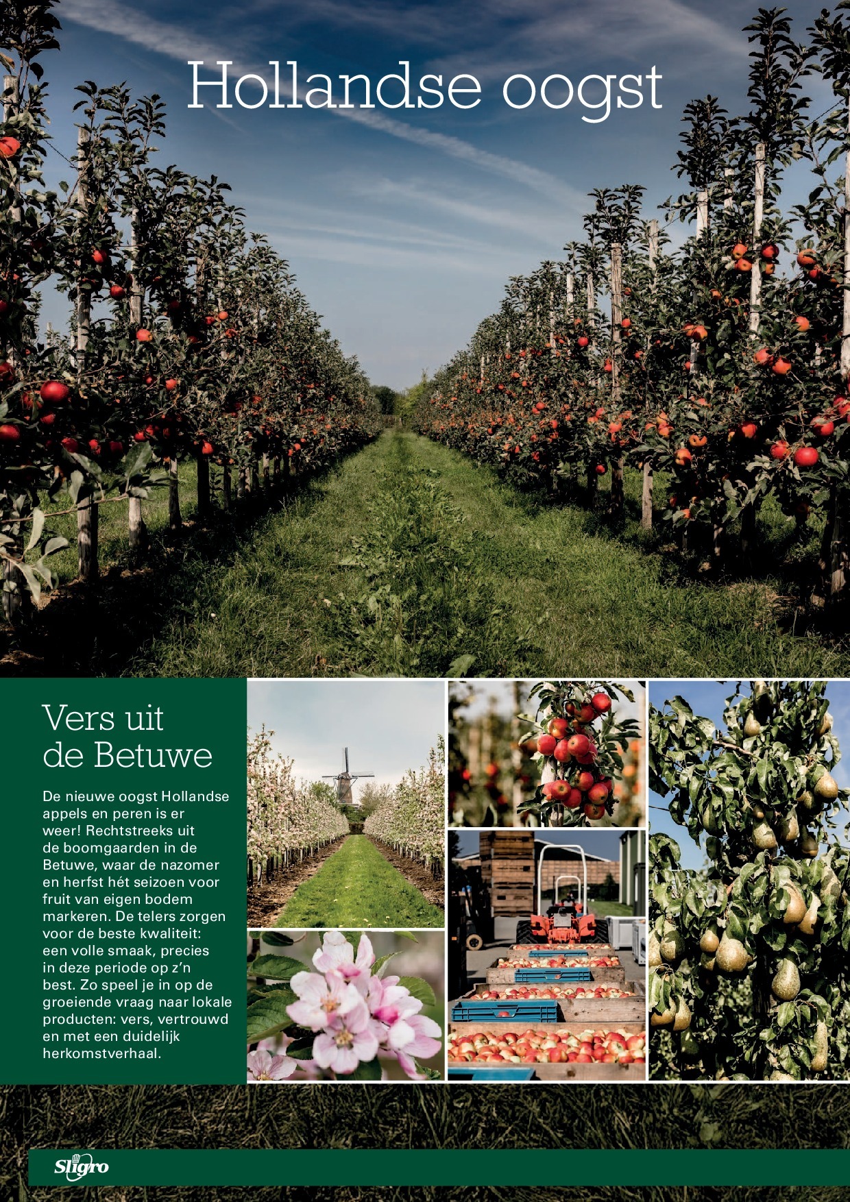 sligro - Sligro - Non-Food folder geldig vanaf 18-09 t/m 06-10 - page: 18