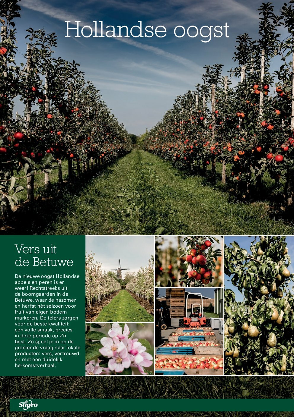 sligro - Sligro - Big Deals Sport folder geldig vanaf 18-09 t/m 06-10 - page: 20
