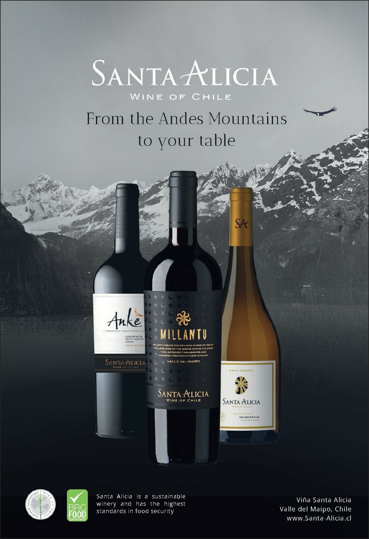 sligro - De Sligro - Wijn folder geldig vanaf 29-01 t/m 16-02 - page: 16