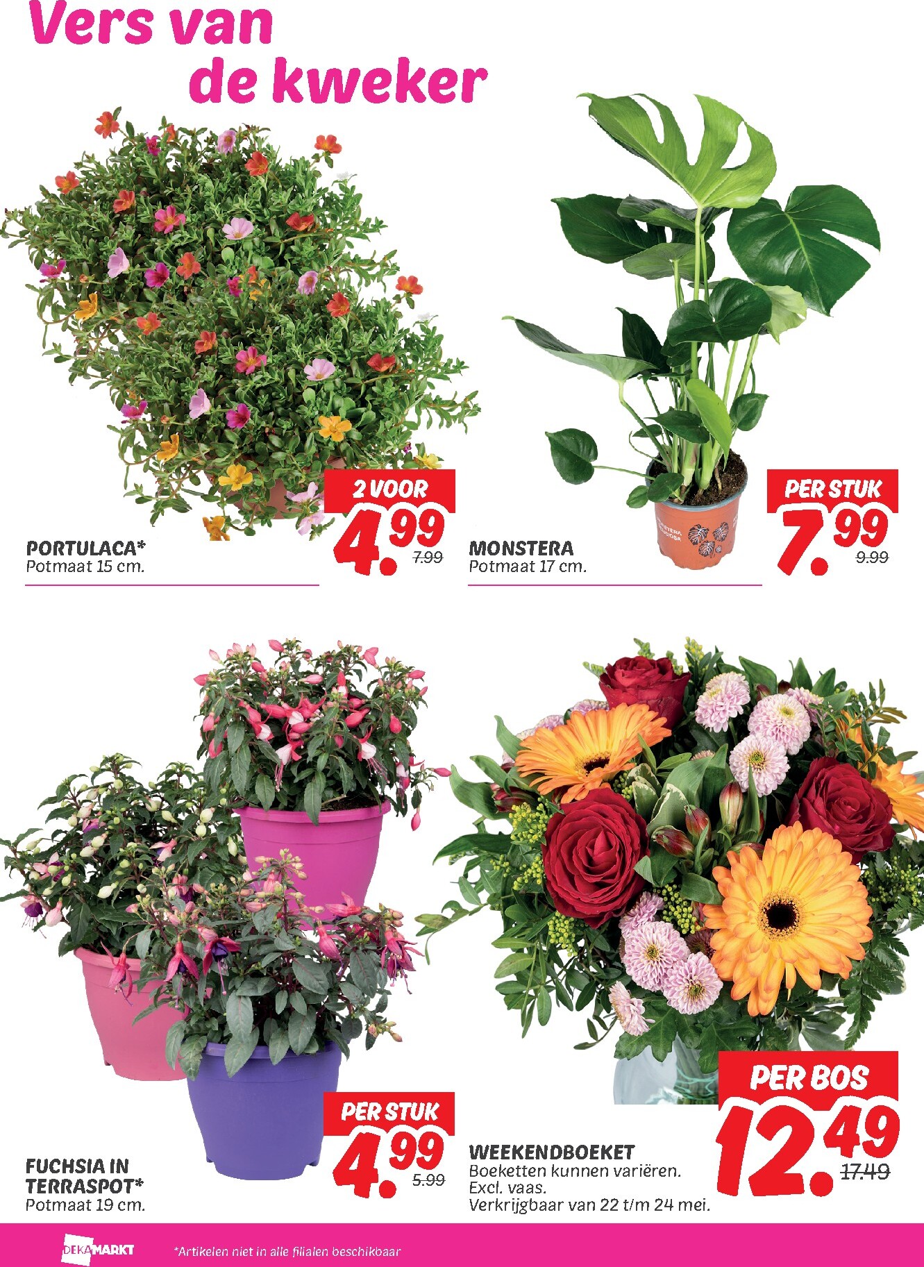 dekamarkt - Huidige Dekamarkt folder geldig van dinsdag 19-05-2026 tot maandag 25-05-2026 - page: 24