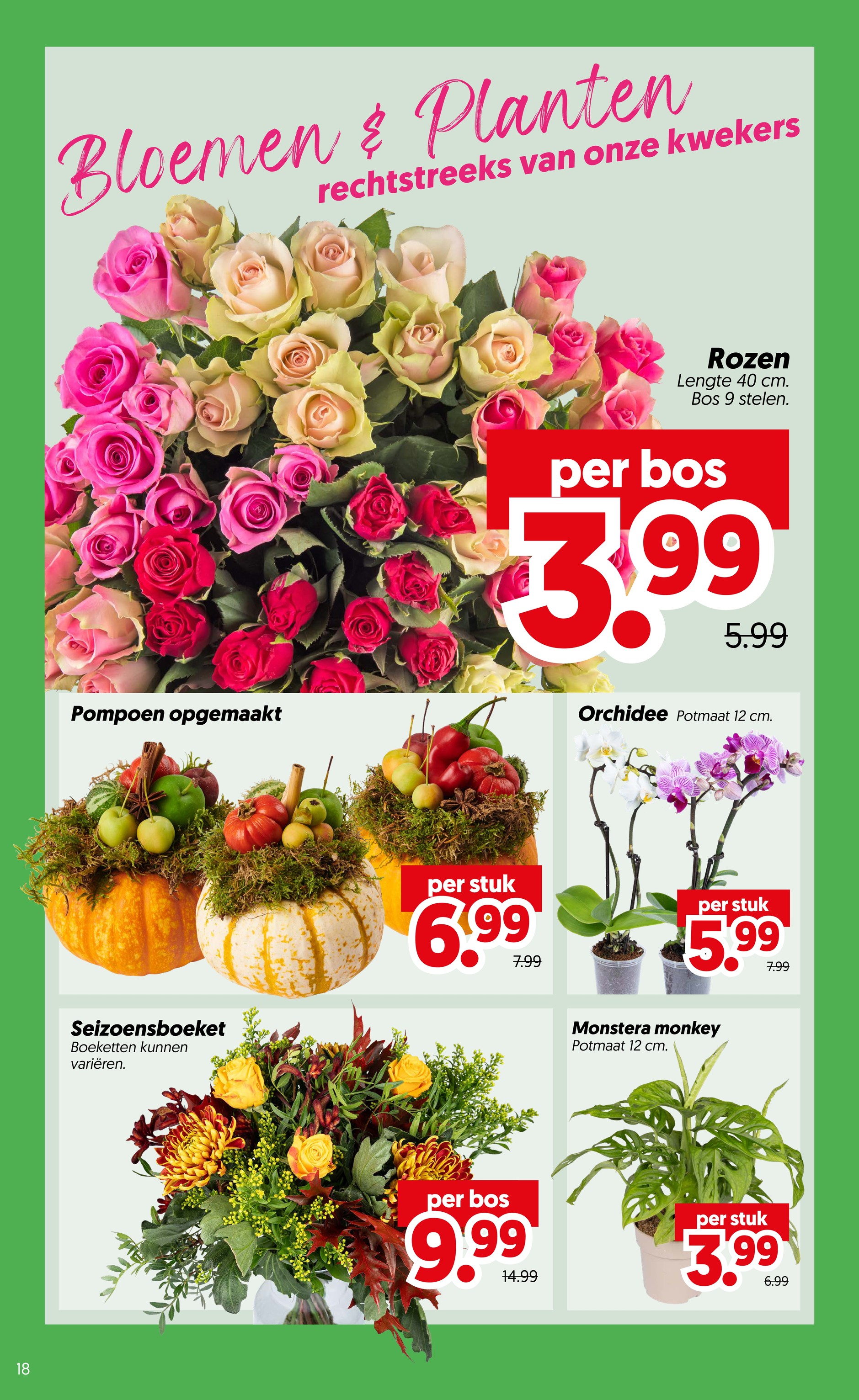 dekamarkt - Dekamarkt folder voor volgende week van dinsdag 06-10-2026 tot maandag 12-10-2026 - page: 18