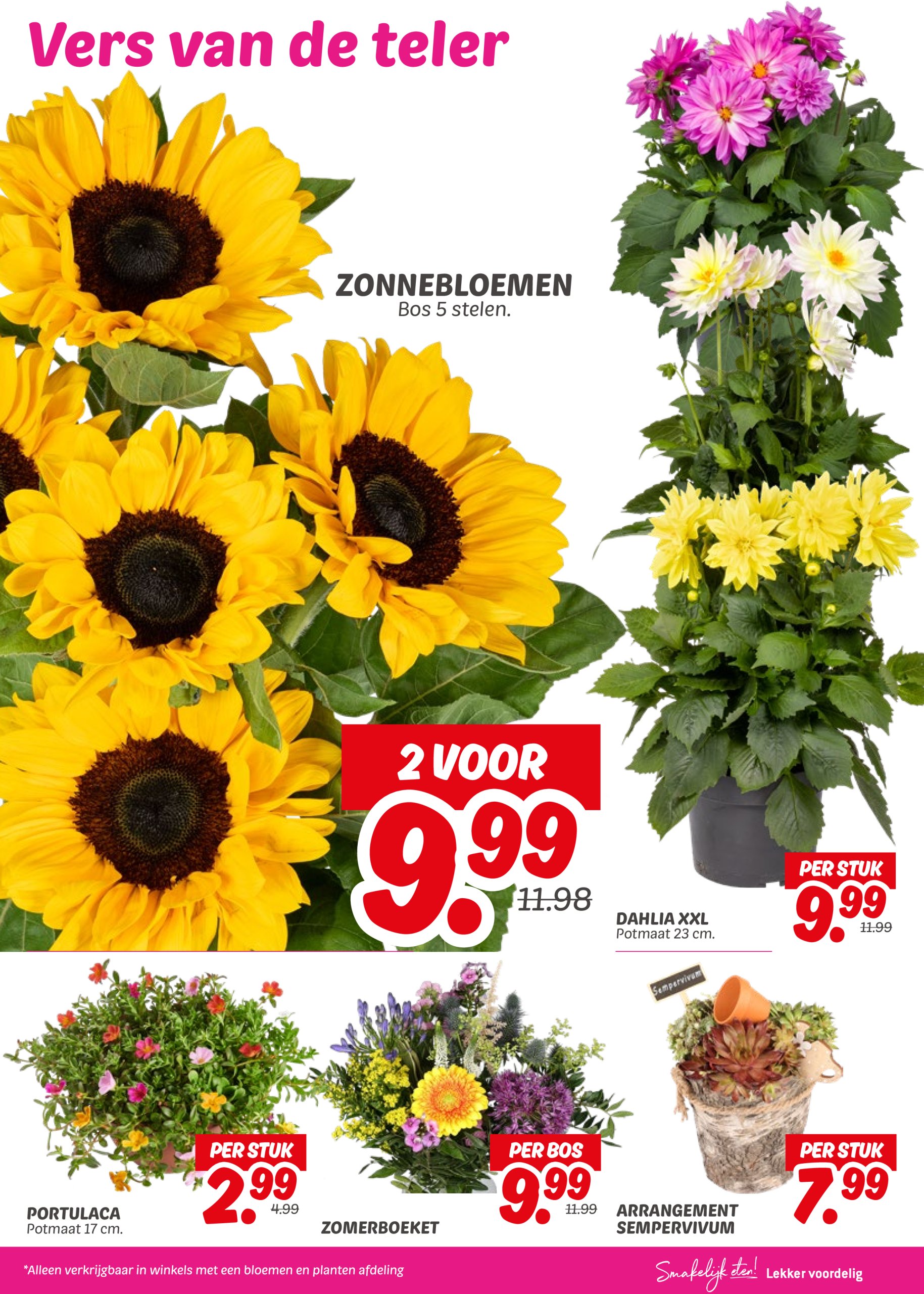 dekamarkt - Dekamarkt folder geldig vanaf 17-06 t/m 23-06 - page: 23