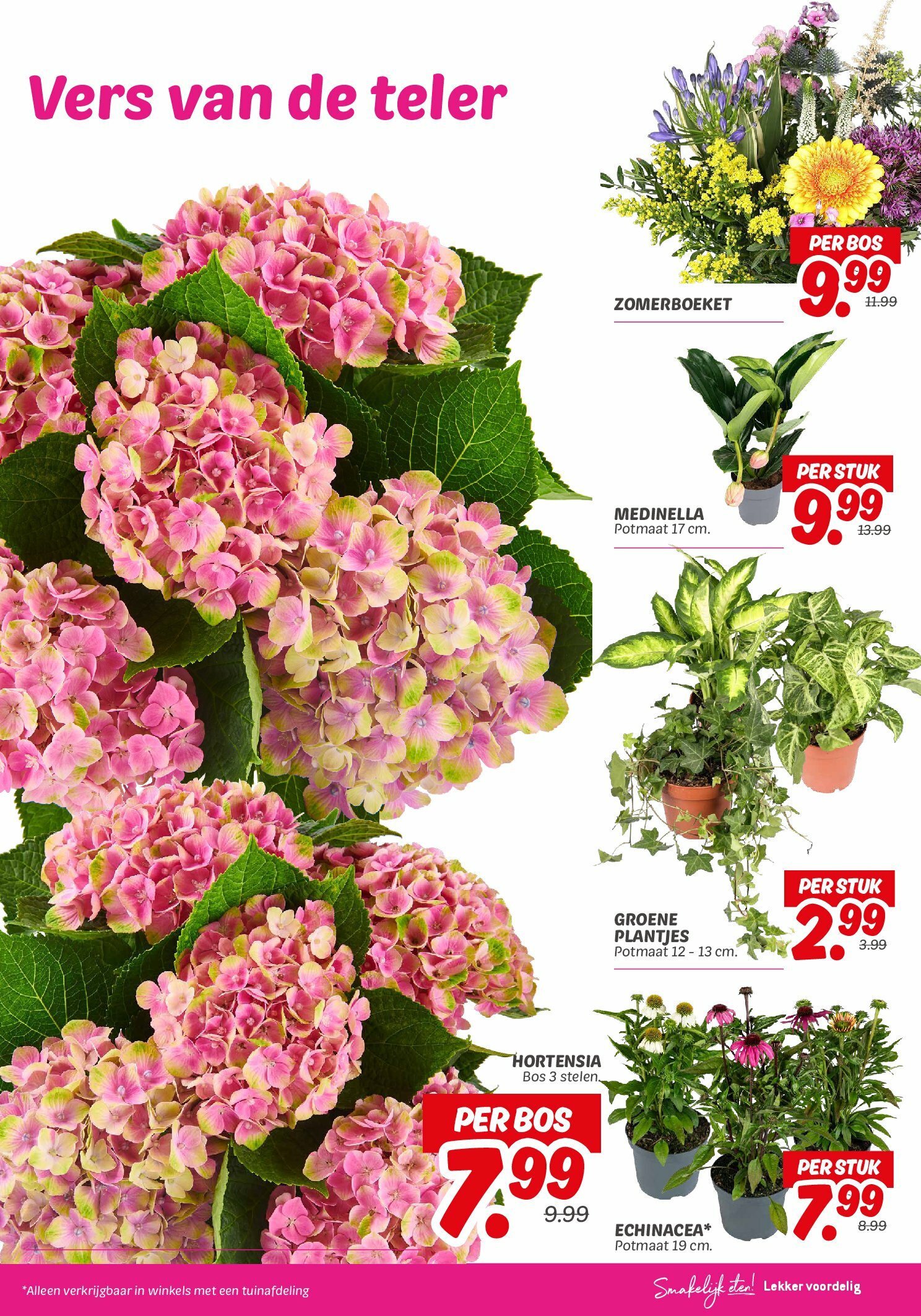 dekamarkt - Dekamarkt folder geldig vanaf 19-08 t/m 25-08 - page: 21