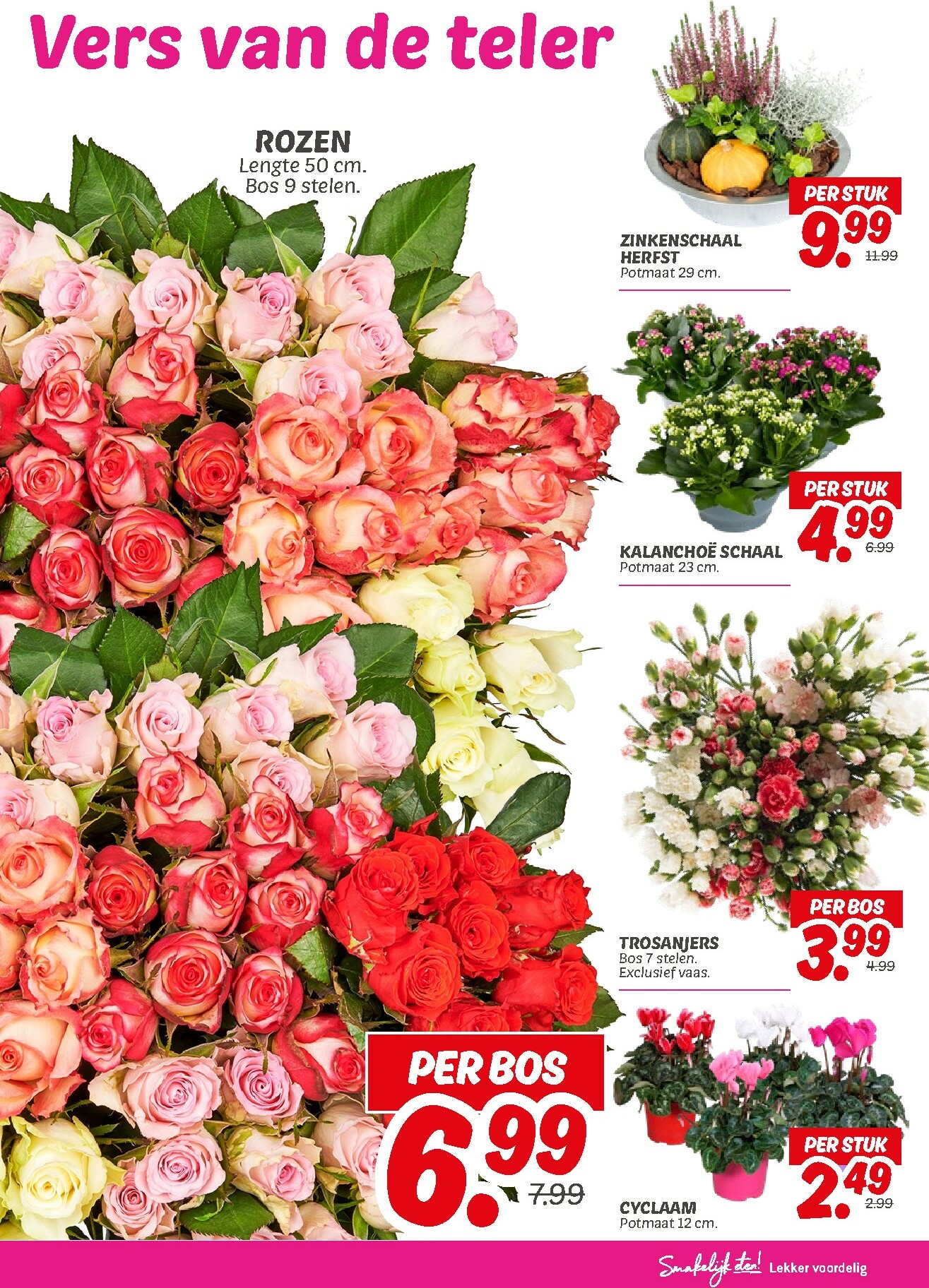 dekamarkt - Dekamarkt folder geldig vanaf 14-10 t/m 20-10 - page: 19