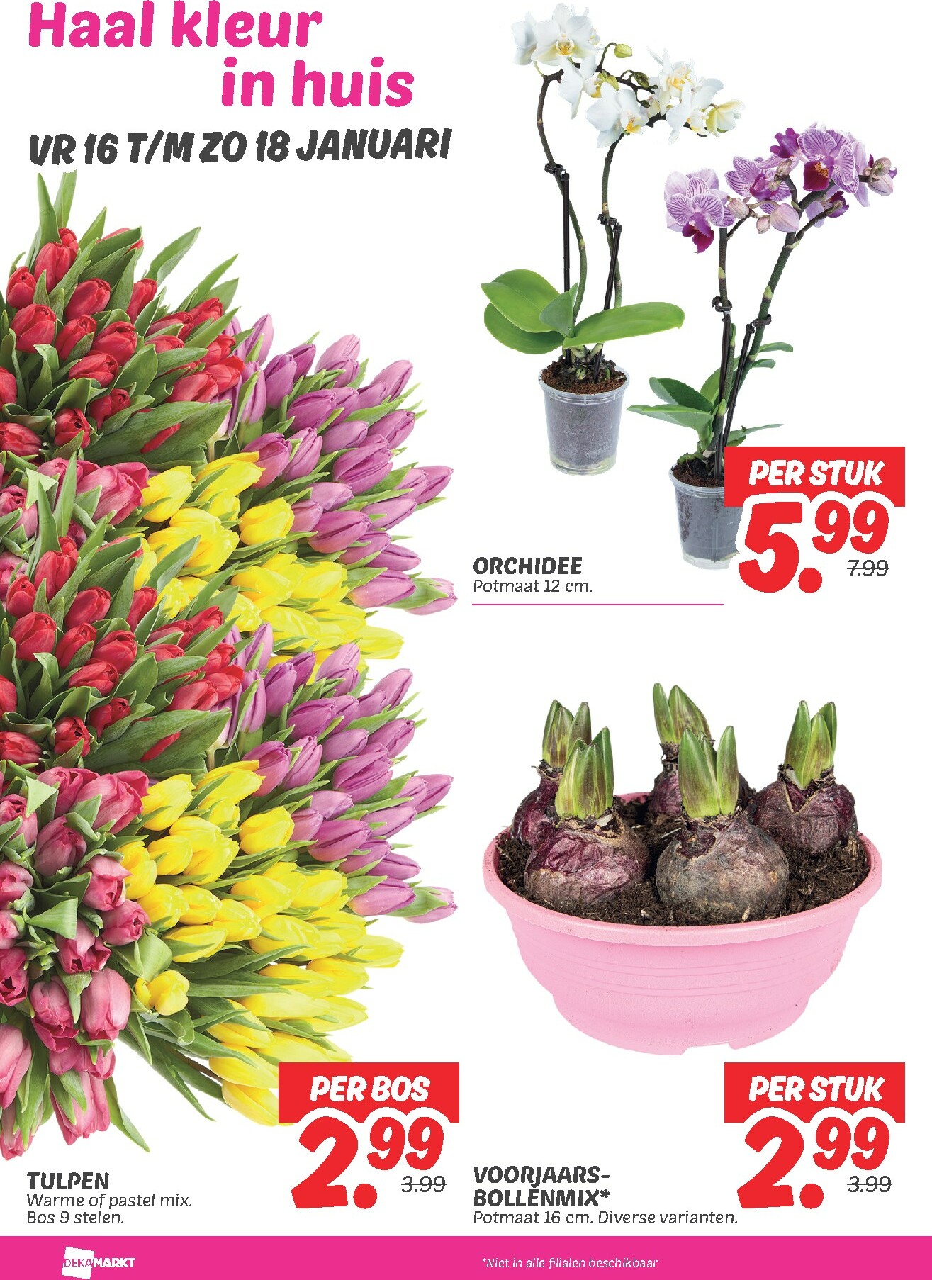 dekamarkt - De Dekamarkt folder geldig vanaf 13-01 t/m 19-01 - page: 26