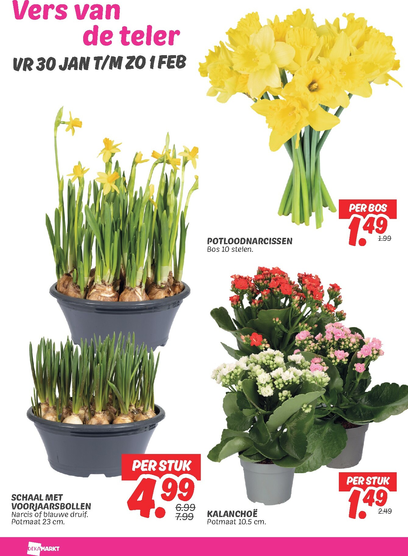 dekamarkt - De Dekamarkt folder geldig vanaf 27-01 t/m 02-02 - page: 27