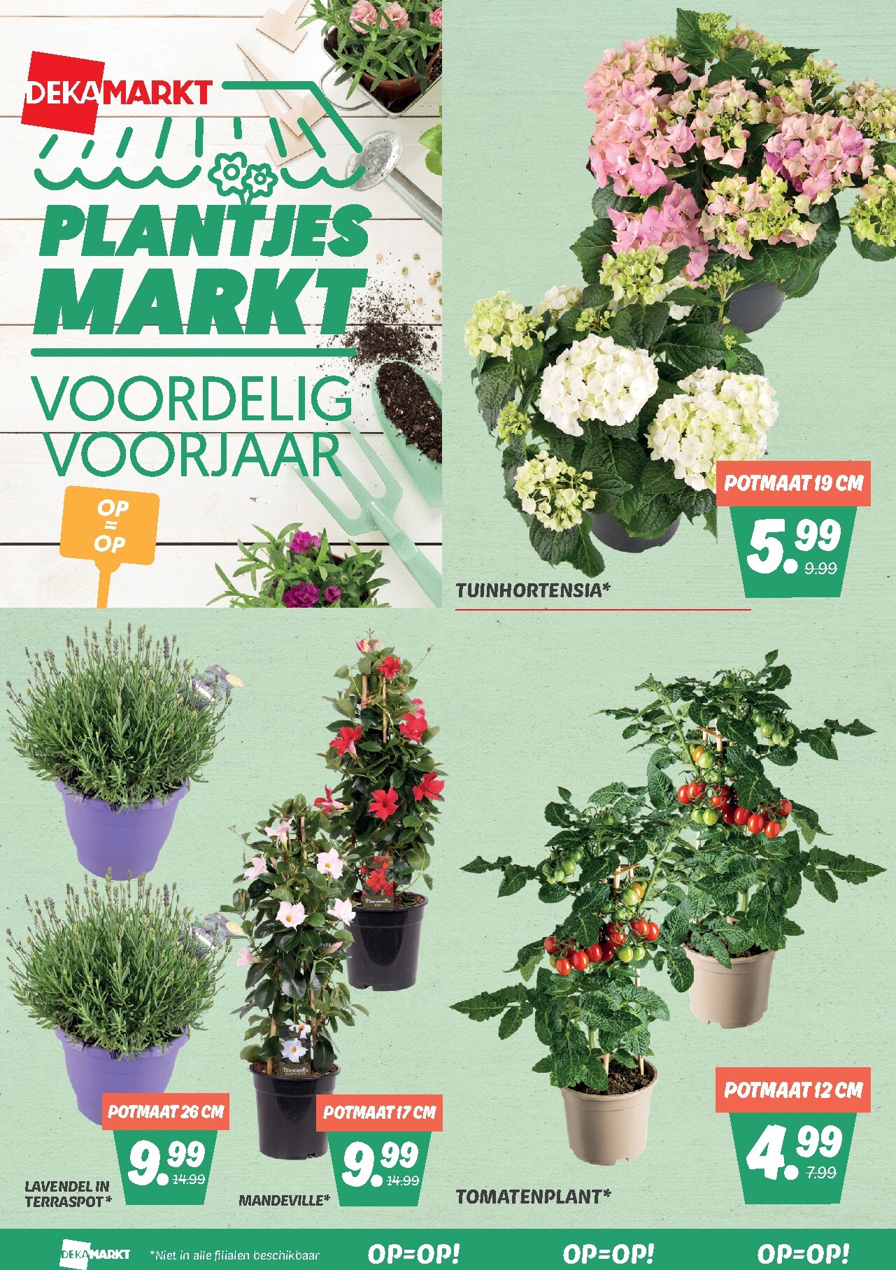 dekamarkt - De Dekamarkt folder geldig vanaf 07-04-2026 t/m 13-04-2026 - page: 24