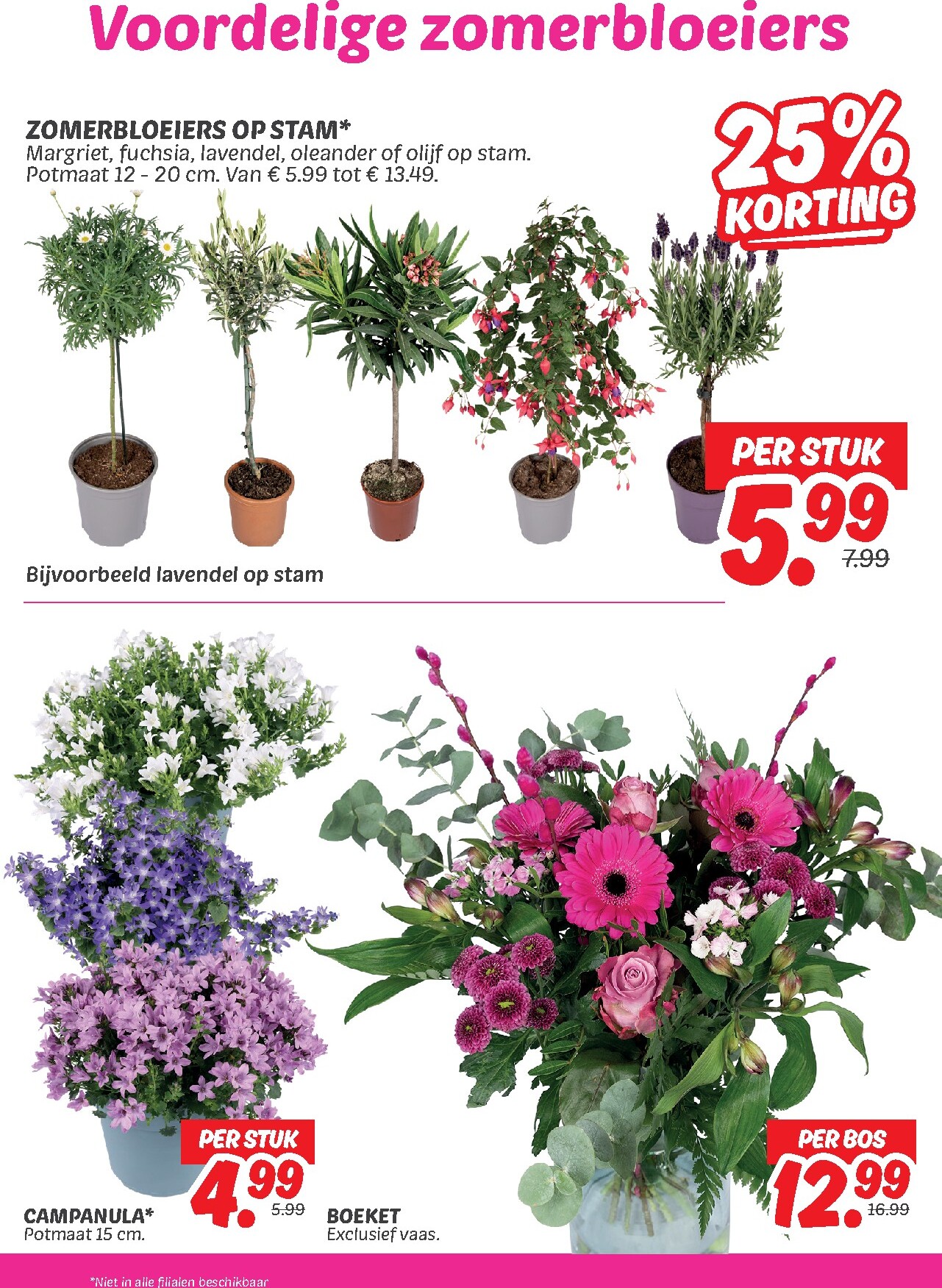 dekamarkt - Dekamarkt folder voor volgende week van dinsdag 28-04-2026 tot maandag 04-05-2026 - page: 25