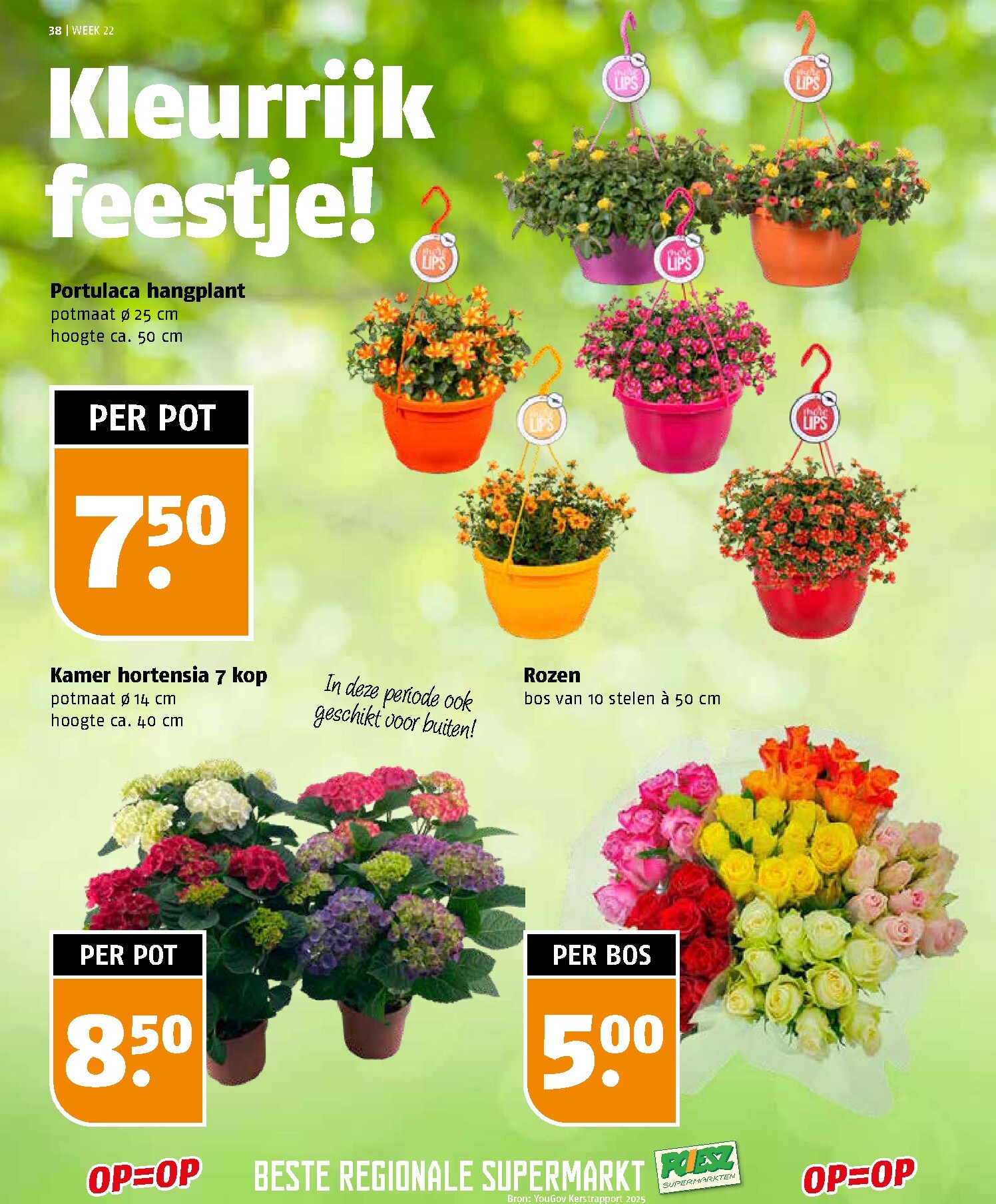 poiesz - Poiesz folder voor volgende week van zondag 24-05-2026 tot zaterdag 30-05-2026 - page: 38