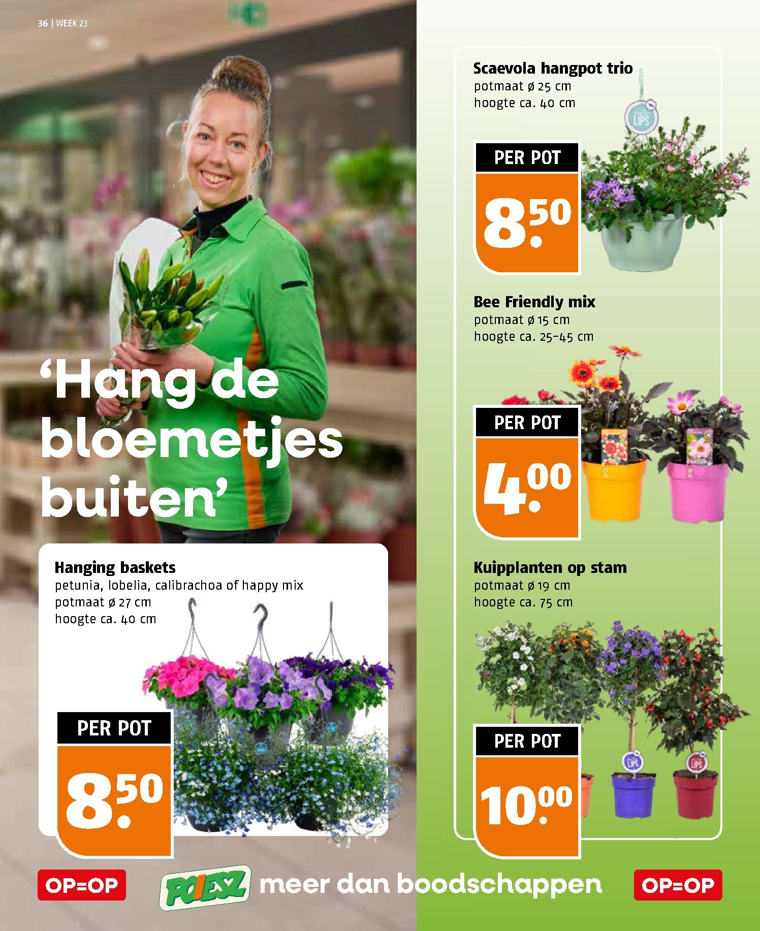 poiesz - Poiesz folder voor volgende week van zondag 31-05-2026 tot zaterdag 06-06-2026 - page: 36