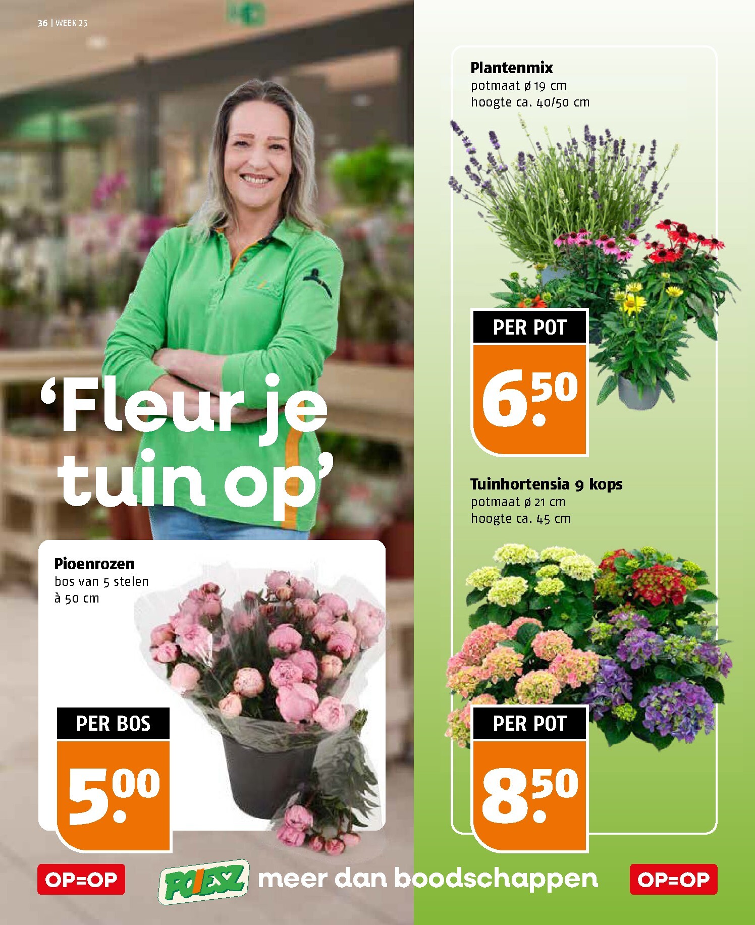 poiesz - Poiesz folder voor volgende week van zondag 14-06-2026 tot zaterdag 20-06-2026 - page: 36
