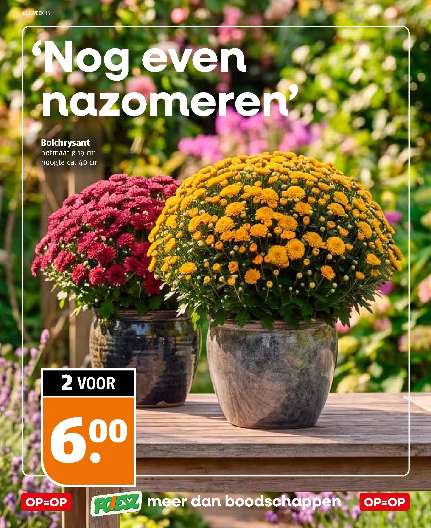 poiesz - Poiesz folder voor volgende week van zondag 23-08-2026 tot zaterdag 29-08-2026 - page: 36