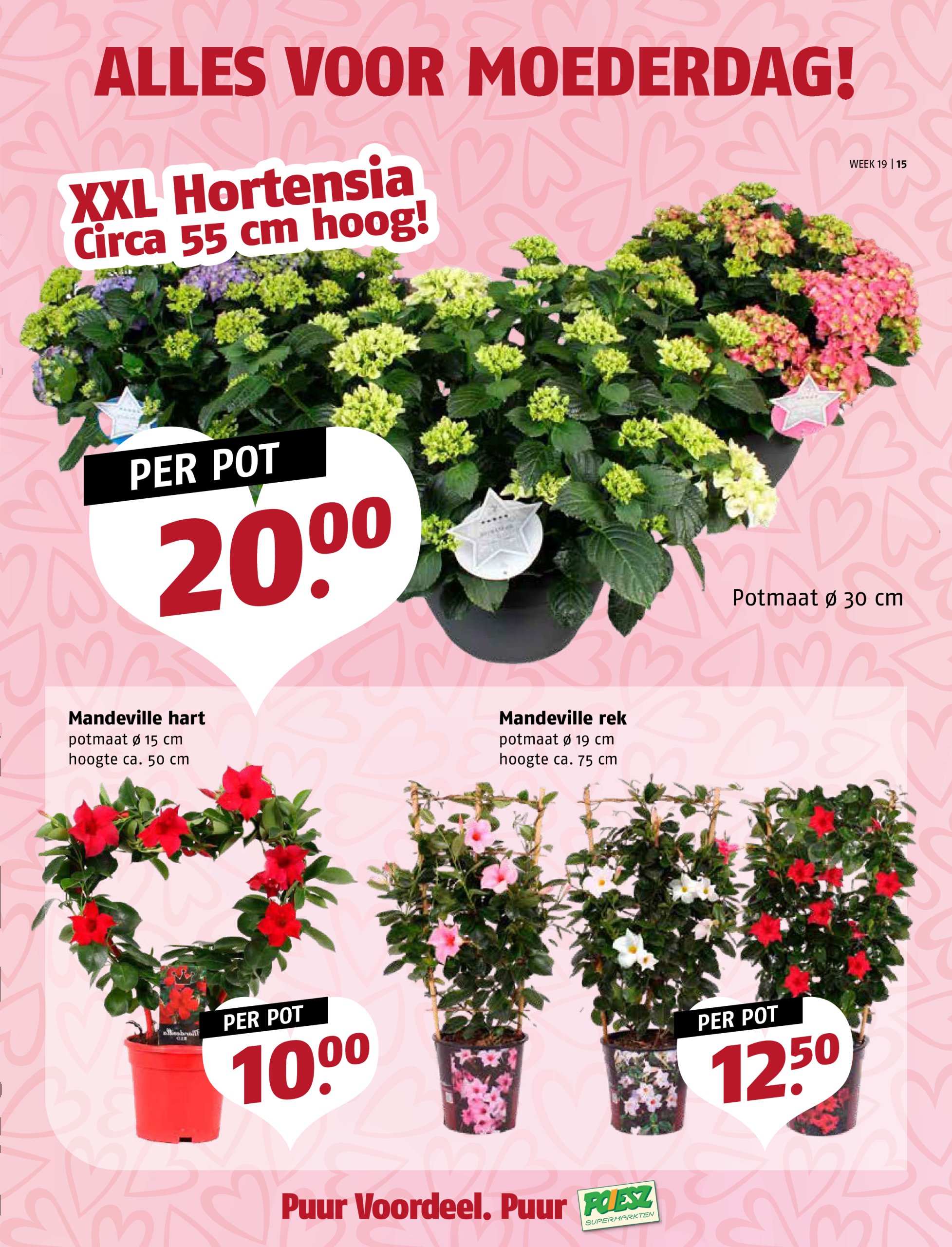 poiesz - Poiesz folder geldig vanaf 05-05 t/m 11-05 - page: 15