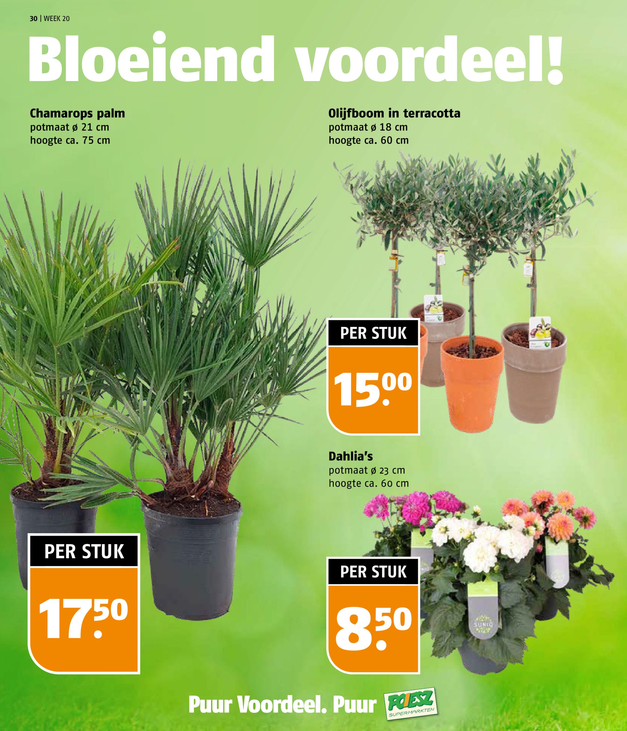 poiesz - Poiesz folder geldig vanaf 12-05 t/m 18-05 - page: 30