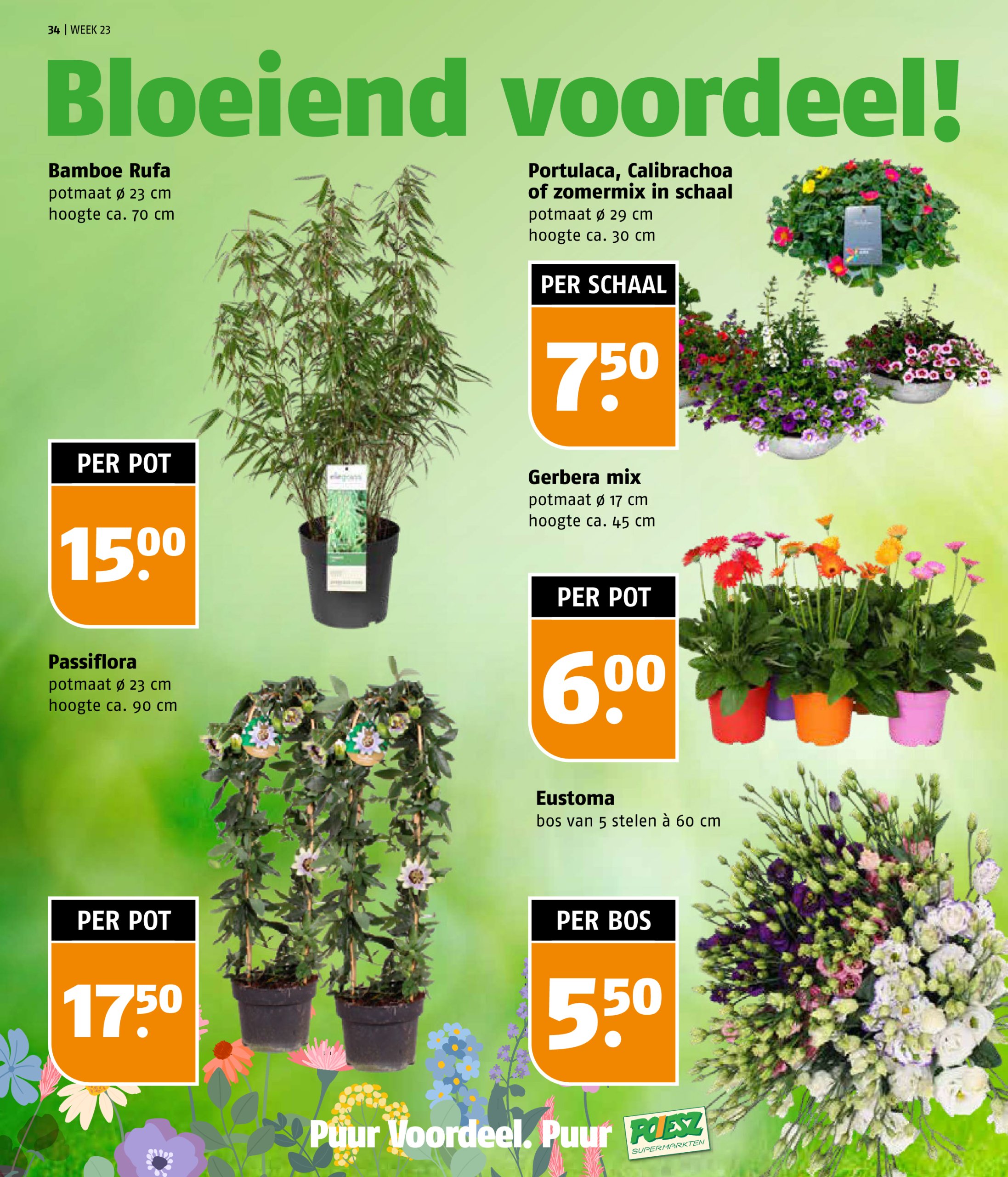 poiesz - Poiesz folder geldig vanaf 02-06 t/m 08-06 - page: 34