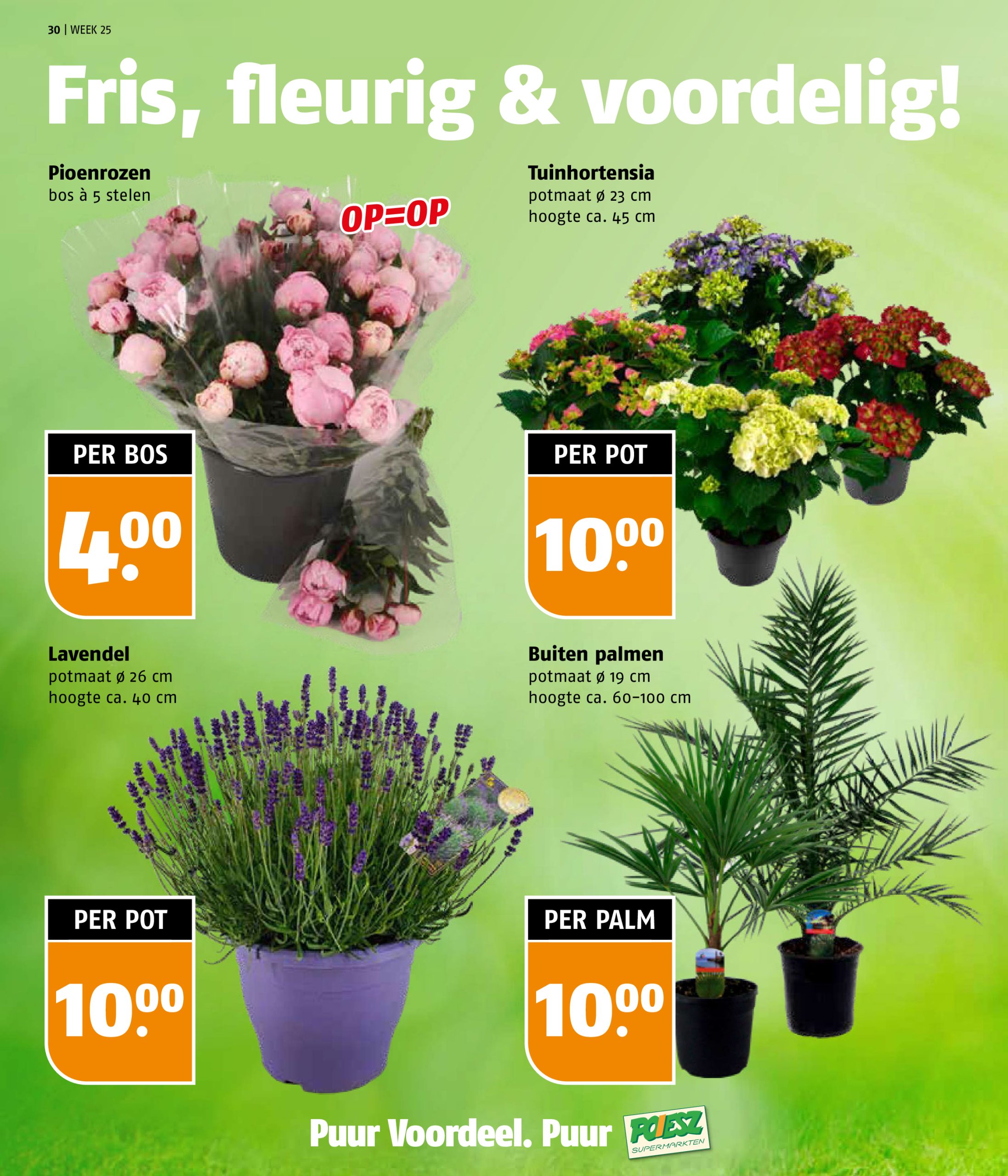 poiesz - Poiesz folder geldig vanaf 16-06 t/m 22-06 - page: 30