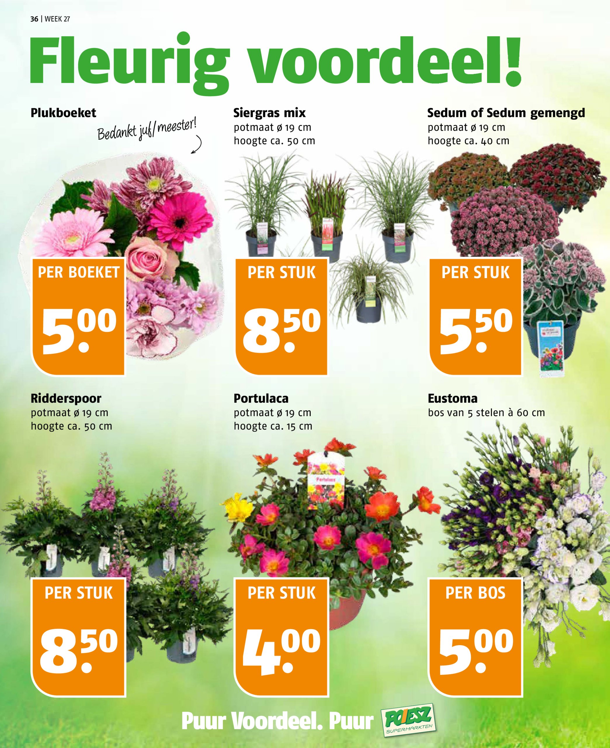 poiesz - Poiesz folder geldig vanaf 29-06 t/m 05-07 - page: 36 poiesz - Poiesz folder geldig vanaf 29-06 t/m 05-07 - page: 36