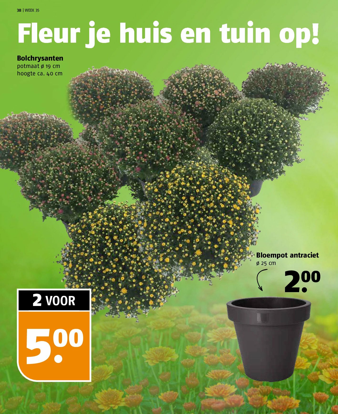 poiesz - Poiesz folder geldig vanaf 24-08 t/m 30-08 - page: 38 poiesz - Poiesz folder geldig vanaf 24-08 t/m 30-08 - page: 38