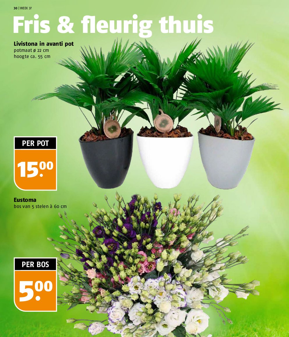 poiesz - Poiesz folder geldig vanaf 07-09 t/m 13-09 - page: 30