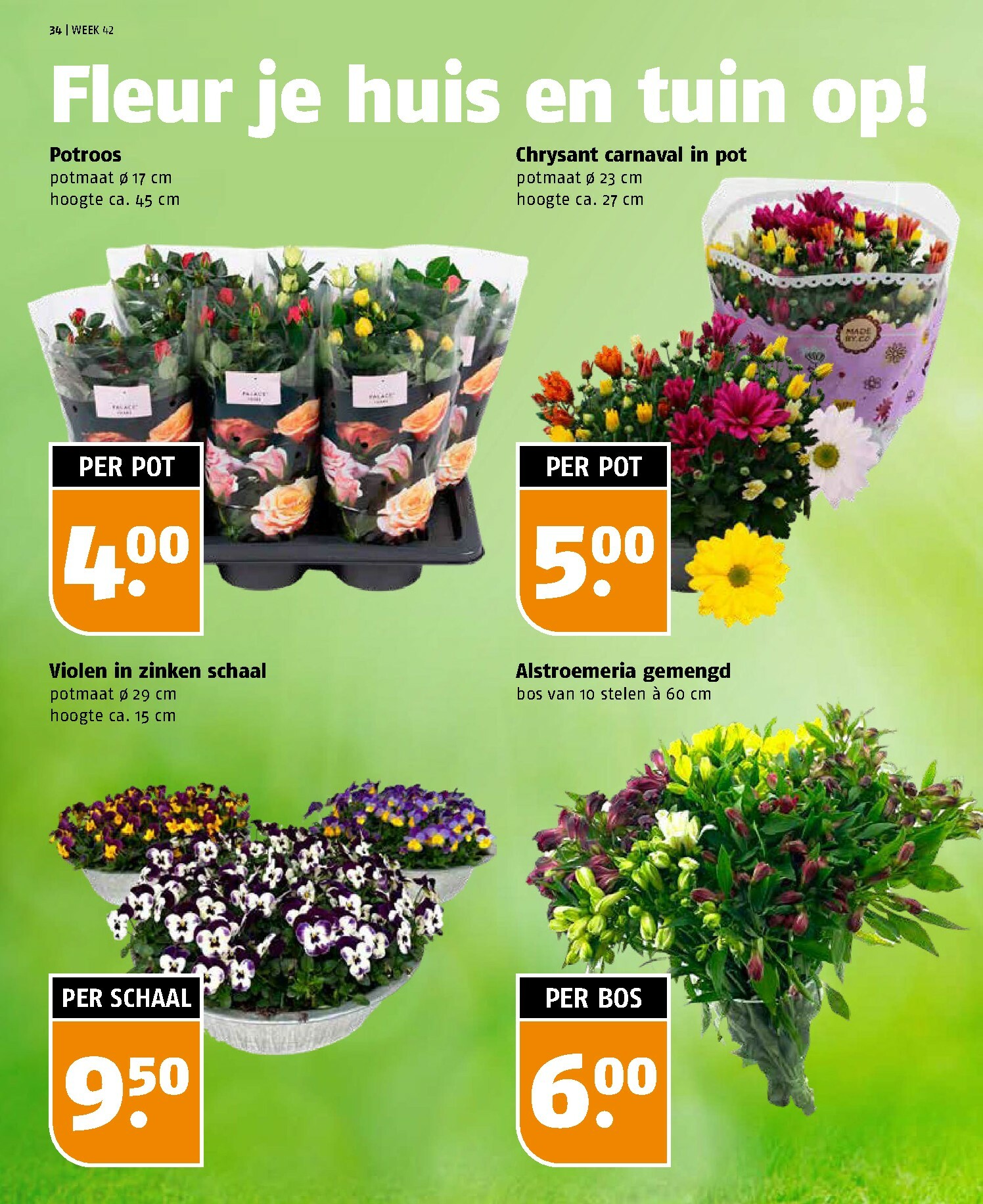 poiesz - Poiesz folder geldig vanaf 12-10 t/m 18-10 - page: 34